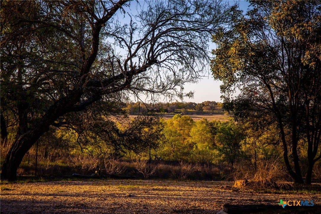 11.77 acres in Comal County - photo 8