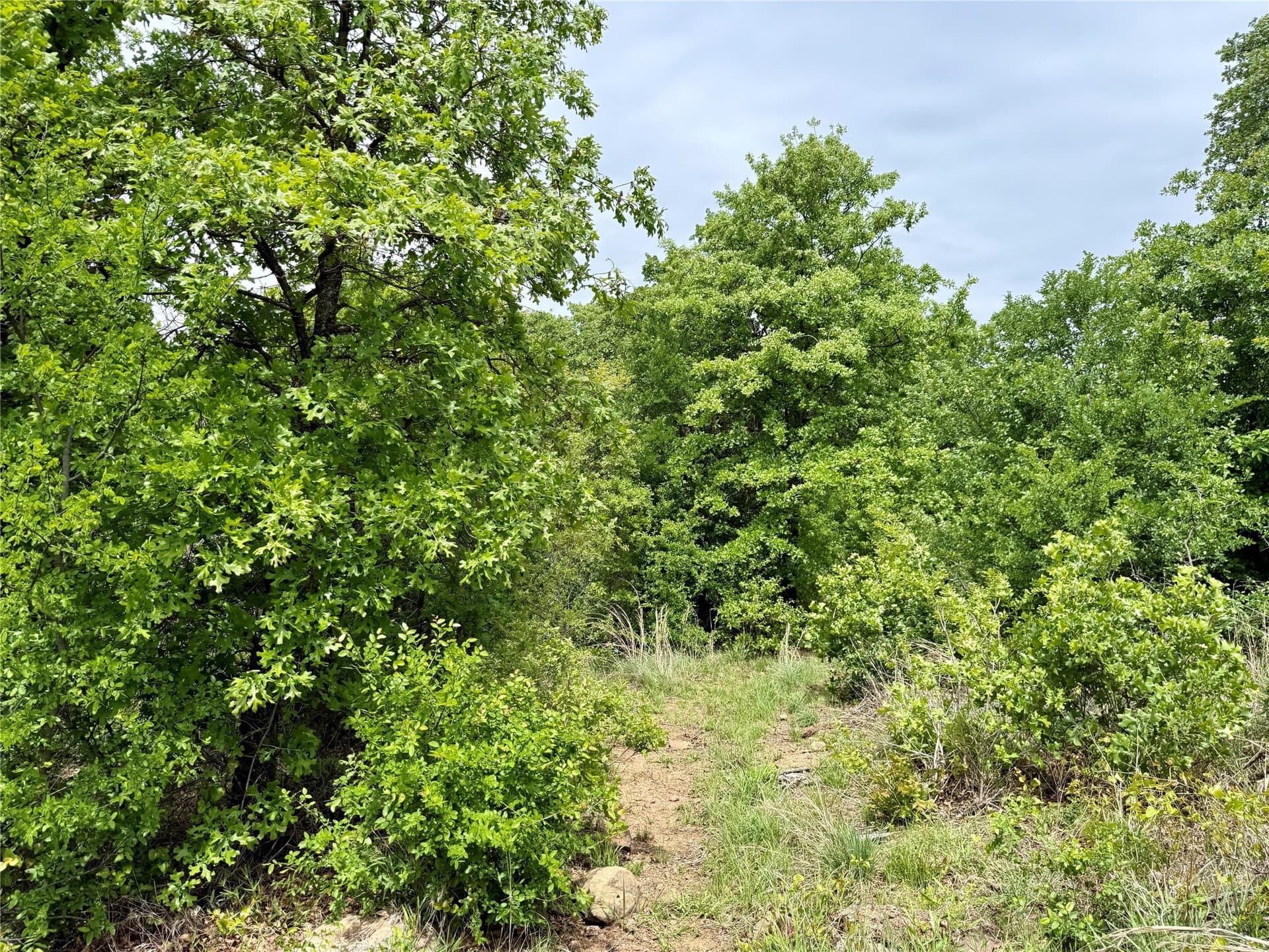 214.68 acres in Jack County - photo 10