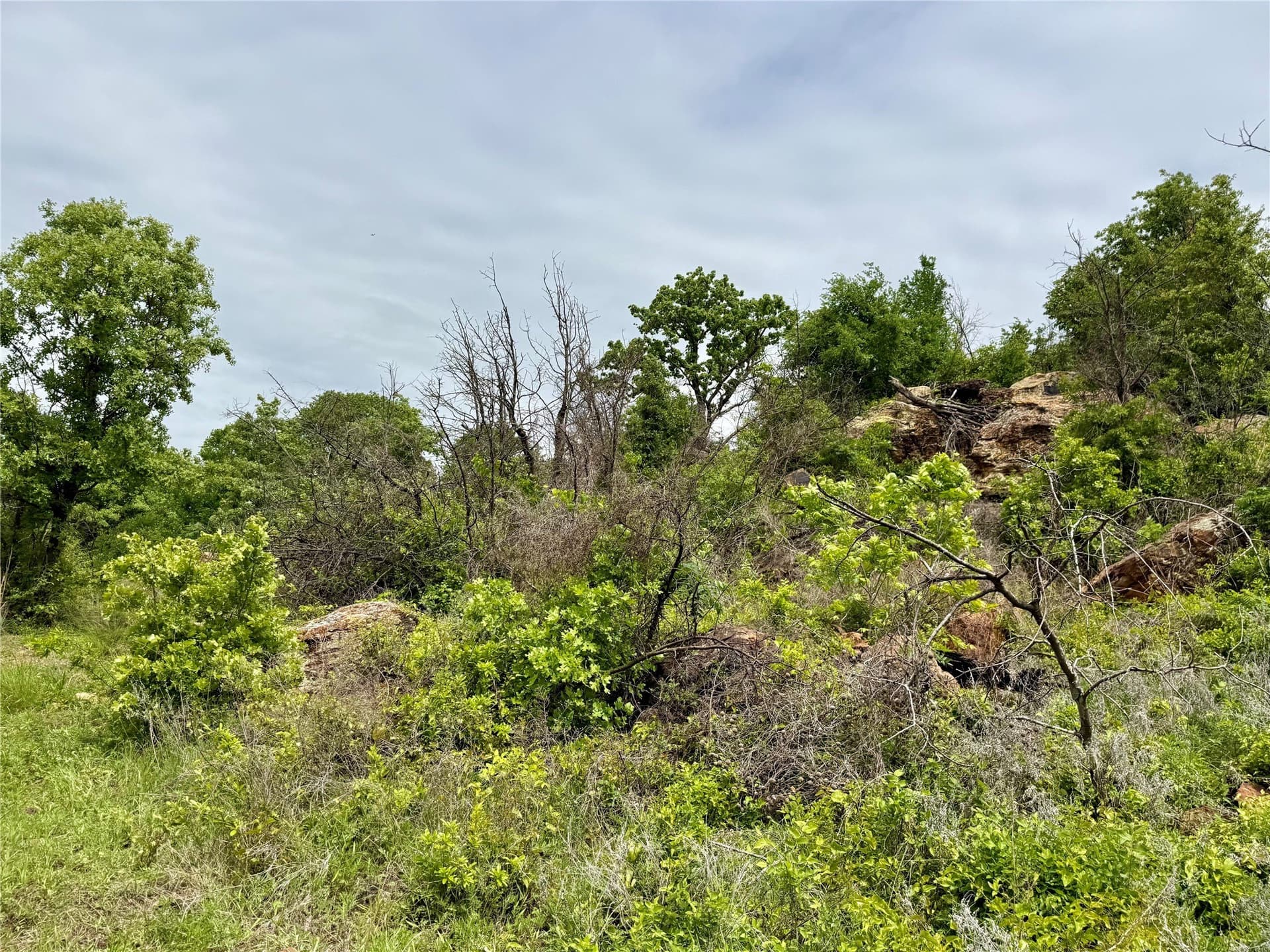 214.68 acres in Jack County - photo 14