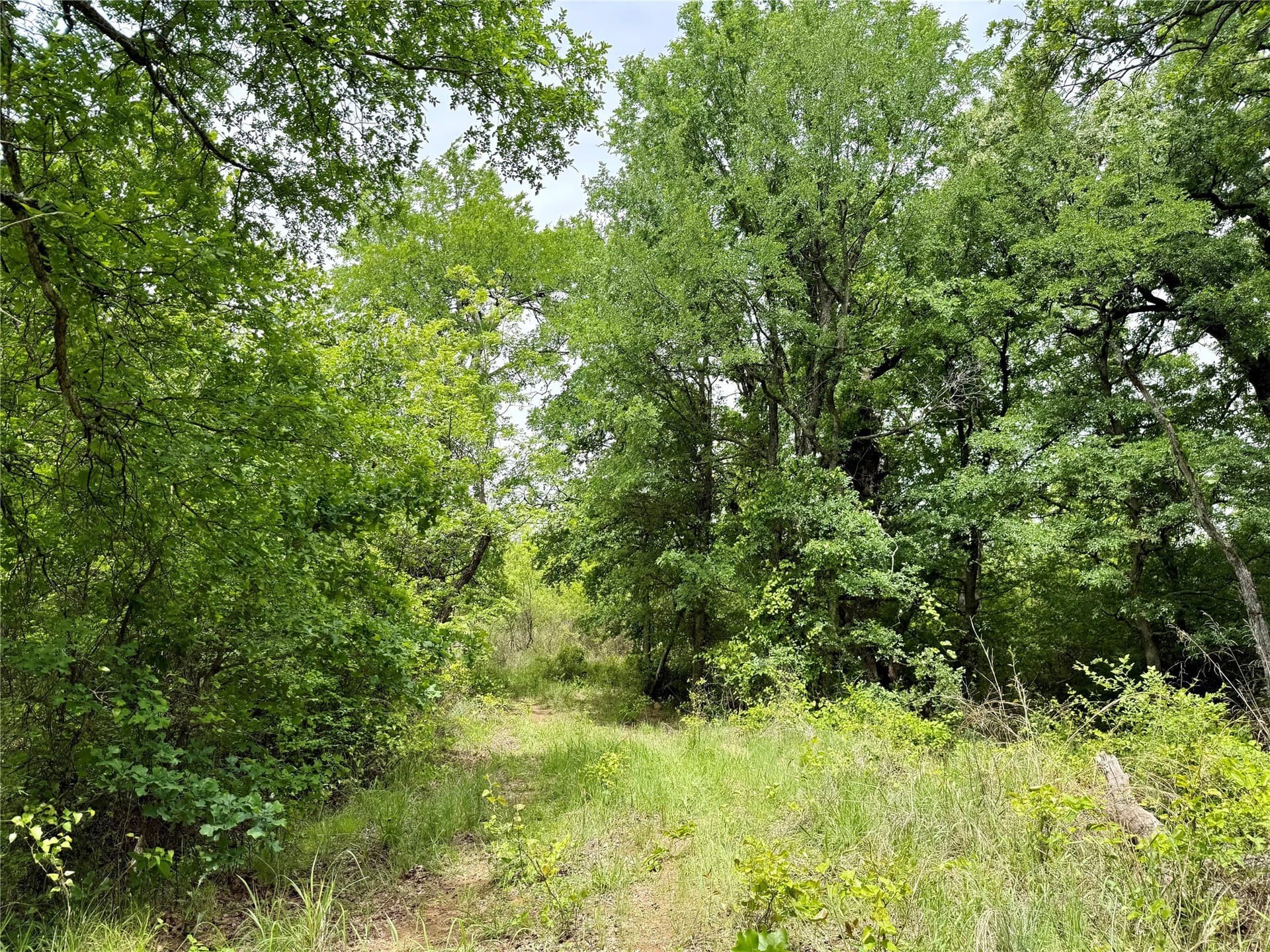 214.68 acres in Jack County - photo 9