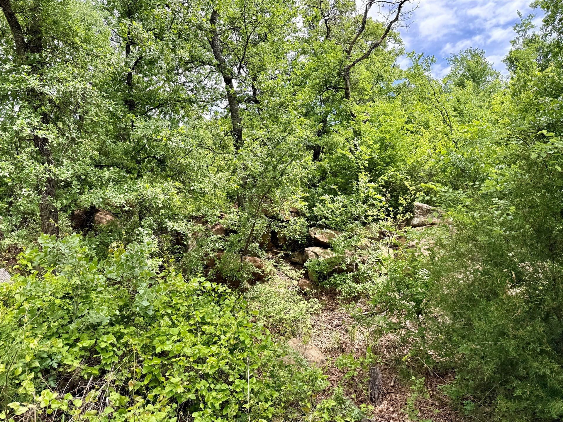 214.68 acres in Jack County - photo 11