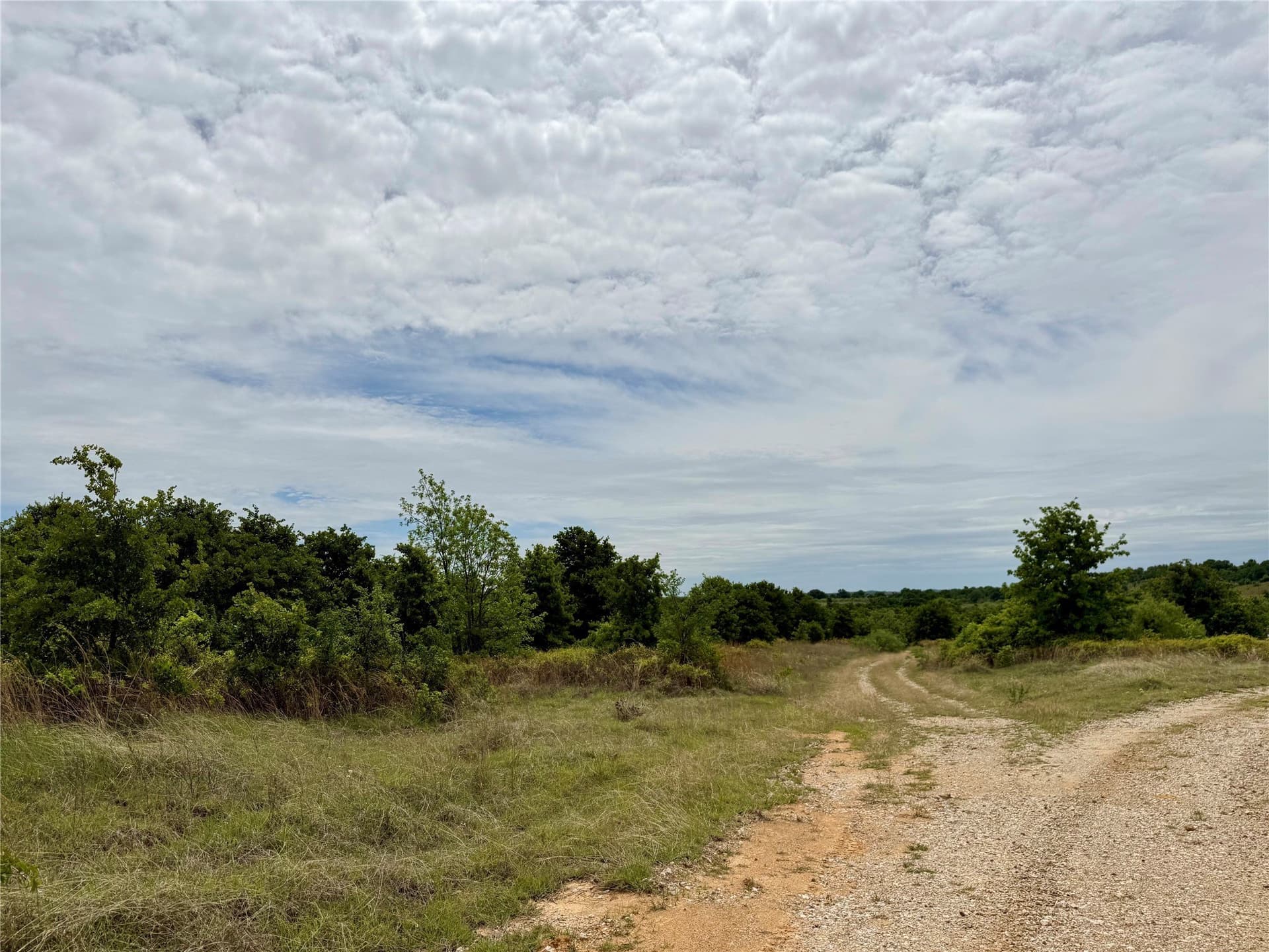 214.68 acres in Jack County - photo 8