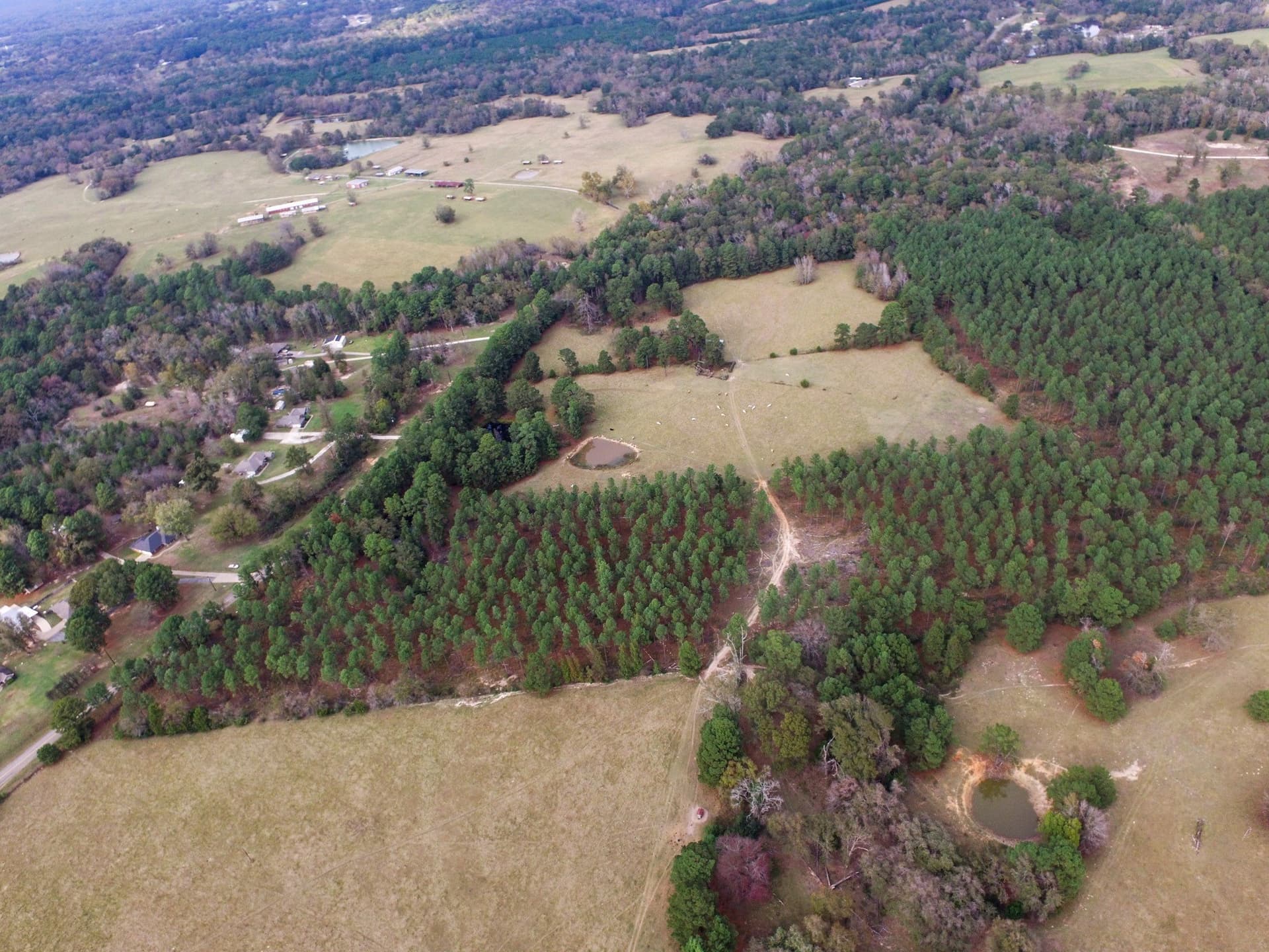 37.22 acres in Anderson County gallery image 2