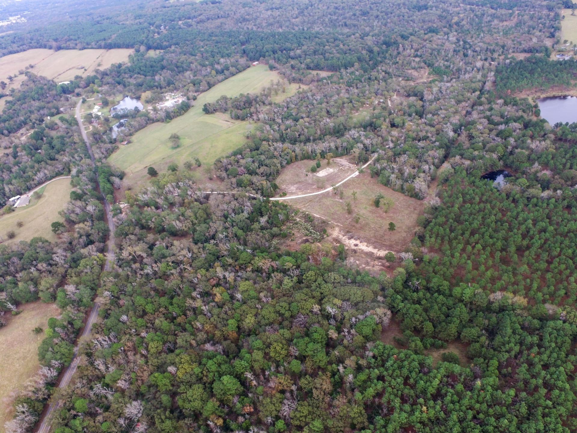 37.22 acres in Anderson County - photo 10