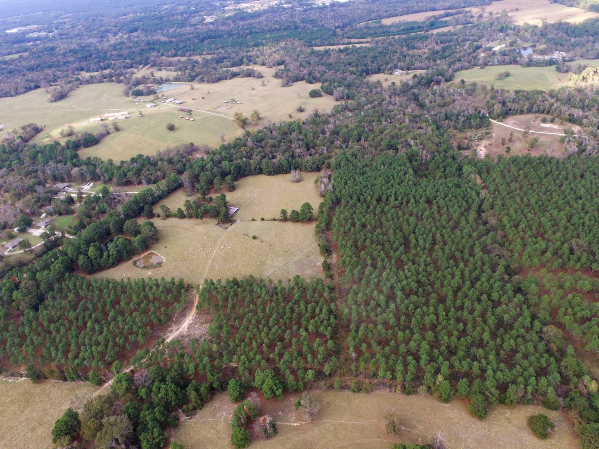 37.22 acres in Anderson County - photo 14