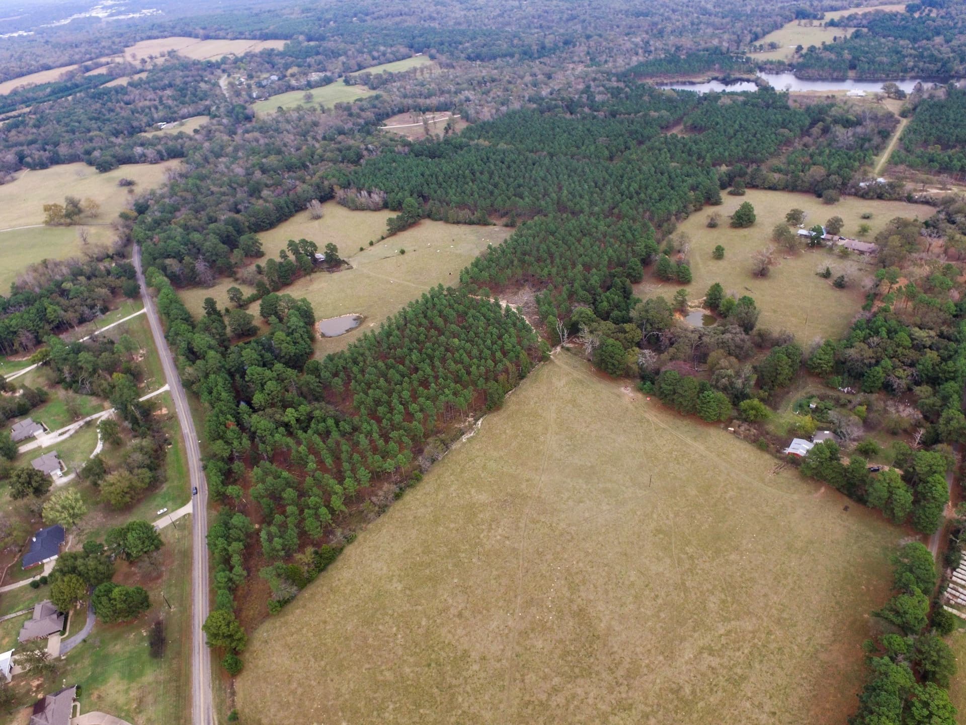 37.22 acres in Anderson County - photo 7