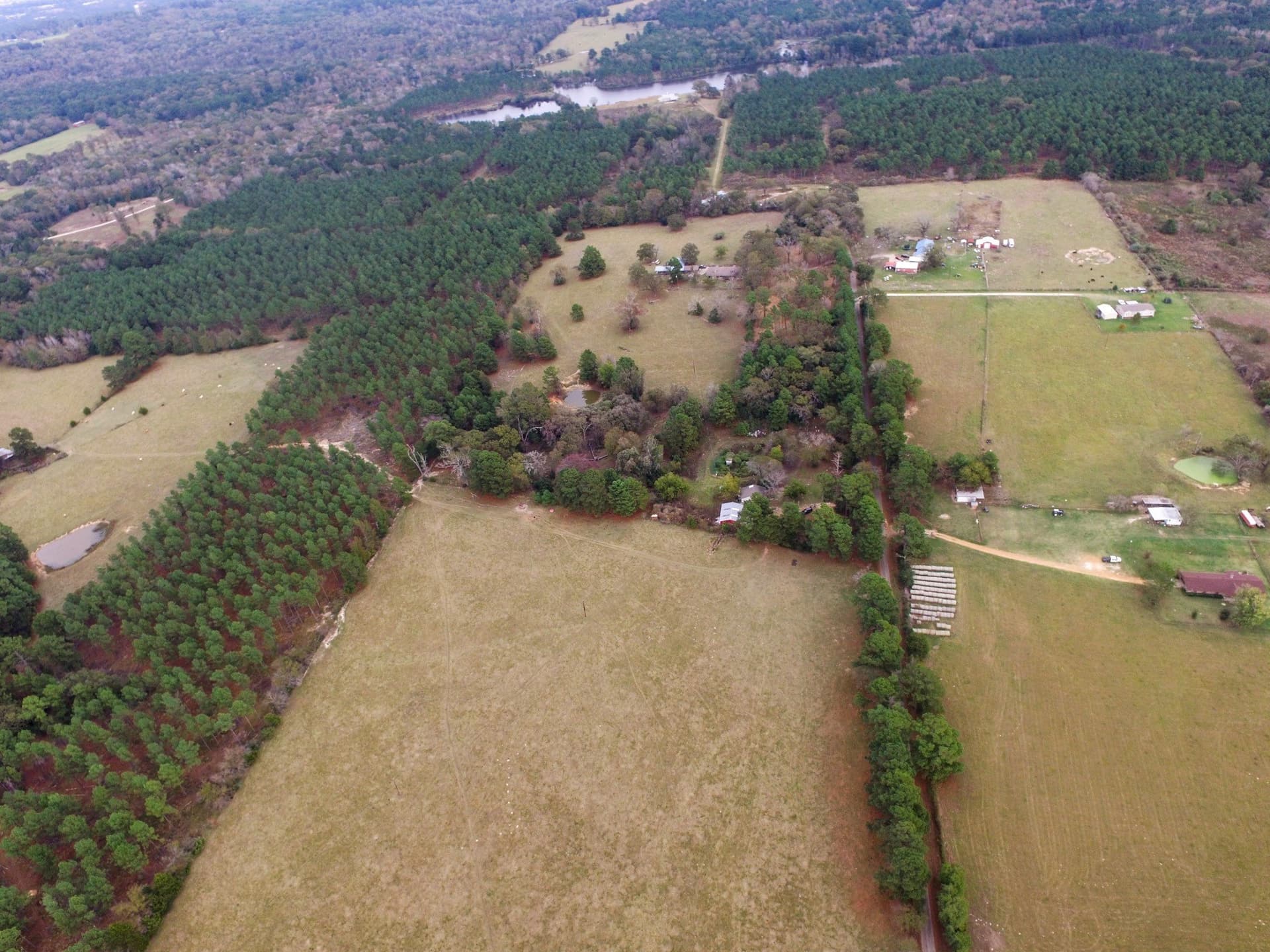 37.22 acres in Anderson County - photo 6