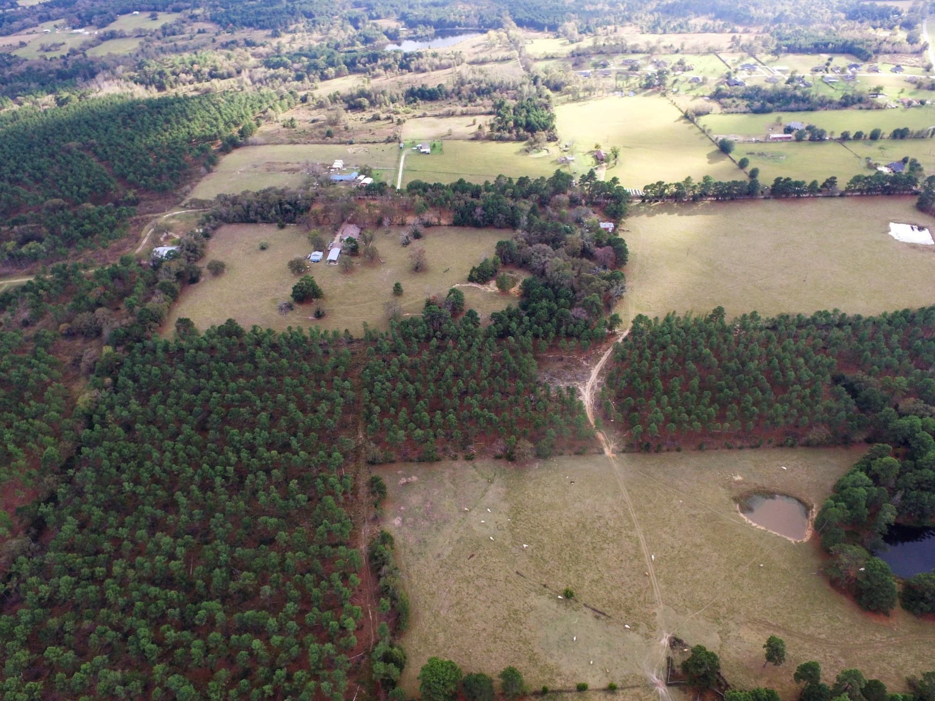 37.22 acres in Anderson County - photo 9