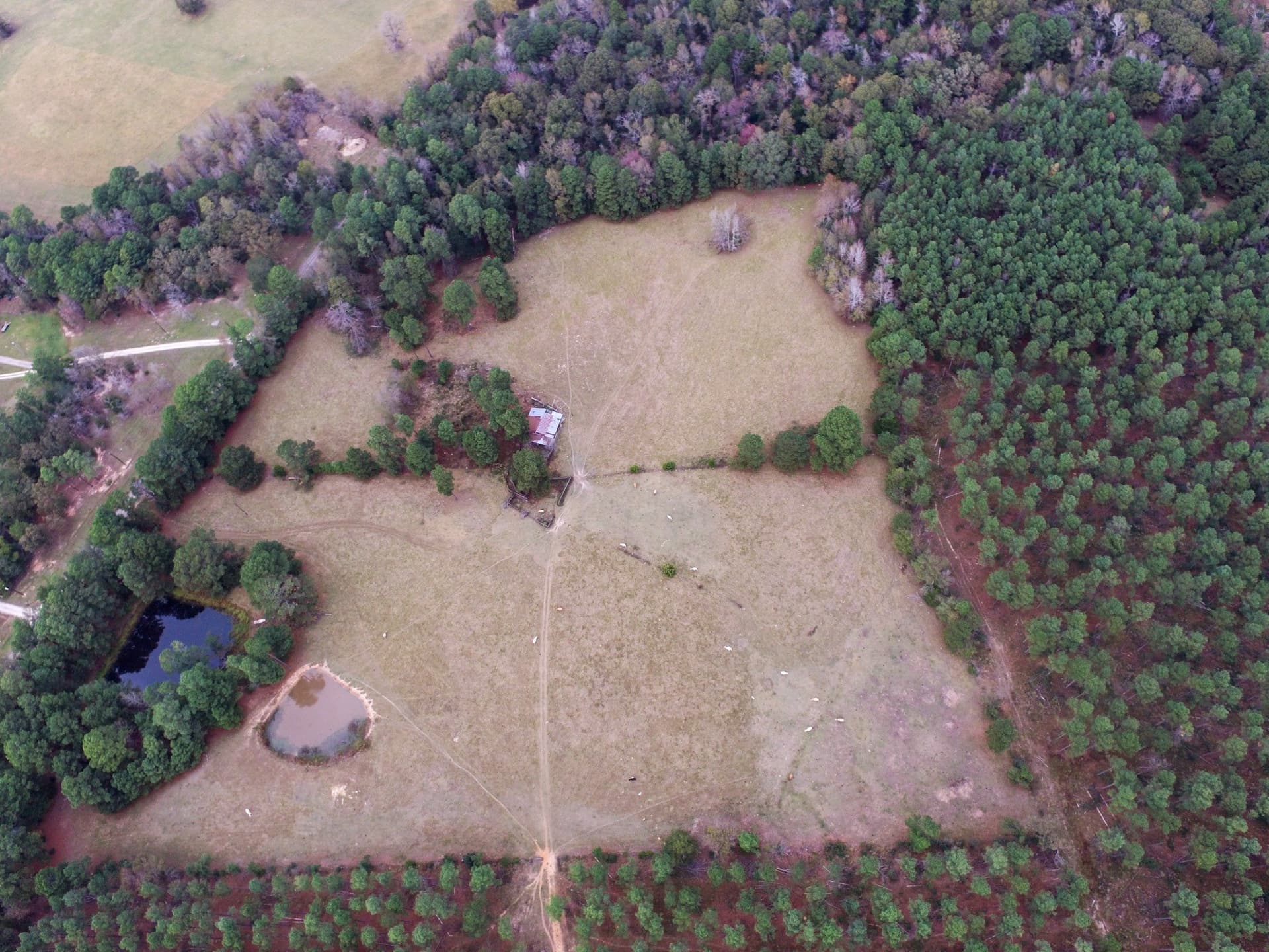 37.22 acres in Anderson County - photo 8