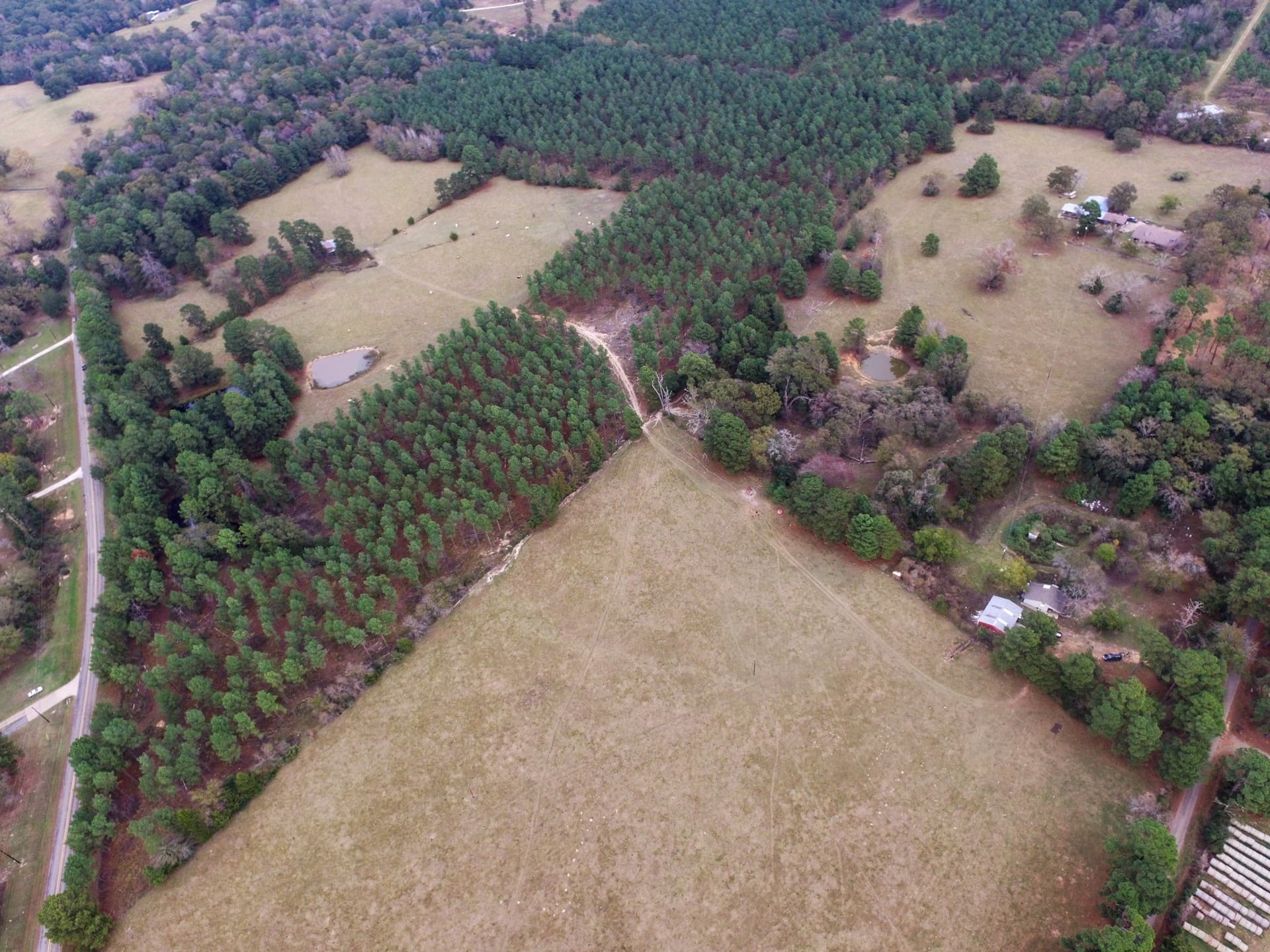 37.22 acres in Anderson County featured view