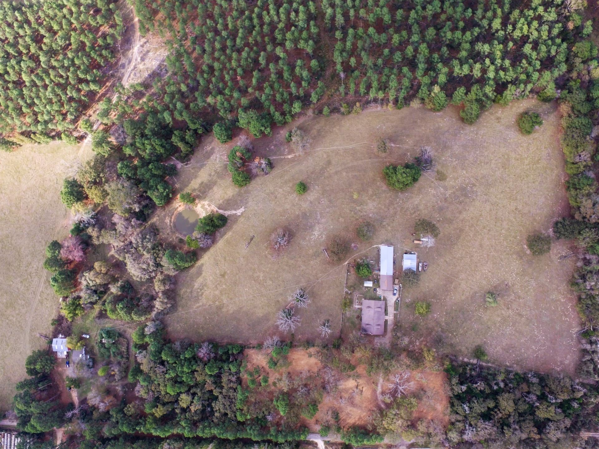 37.22 acres in Anderson County - photo 12