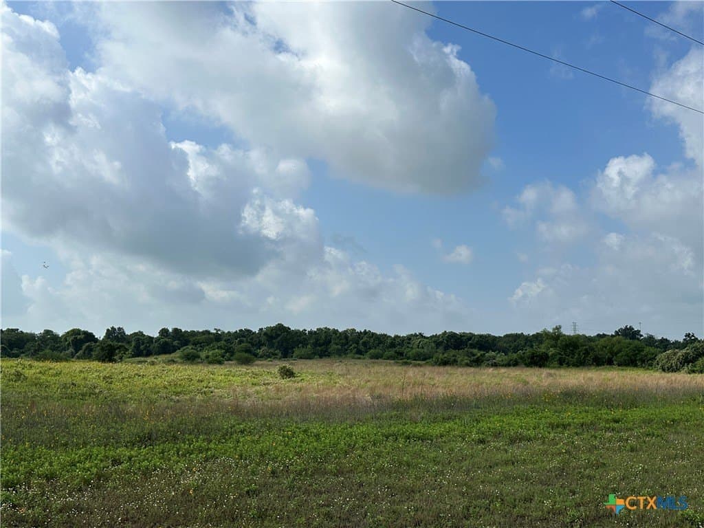 21.07 acres in Victoria County gallery image 2