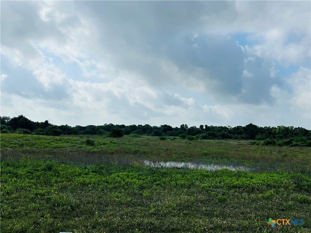 21.07 acres in Victoria County gallery image 3