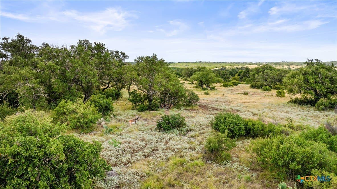 5.01 acres in Blanco County - photo 16