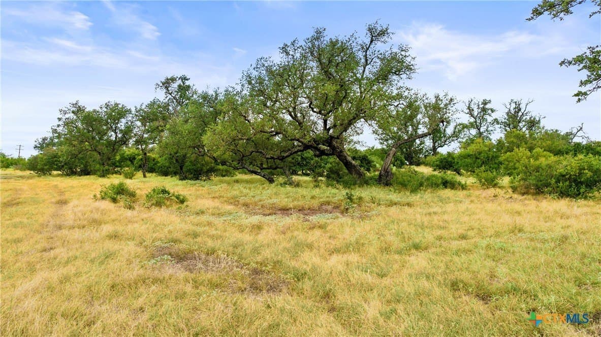 5.01 acres in Blanco County - photo 22
