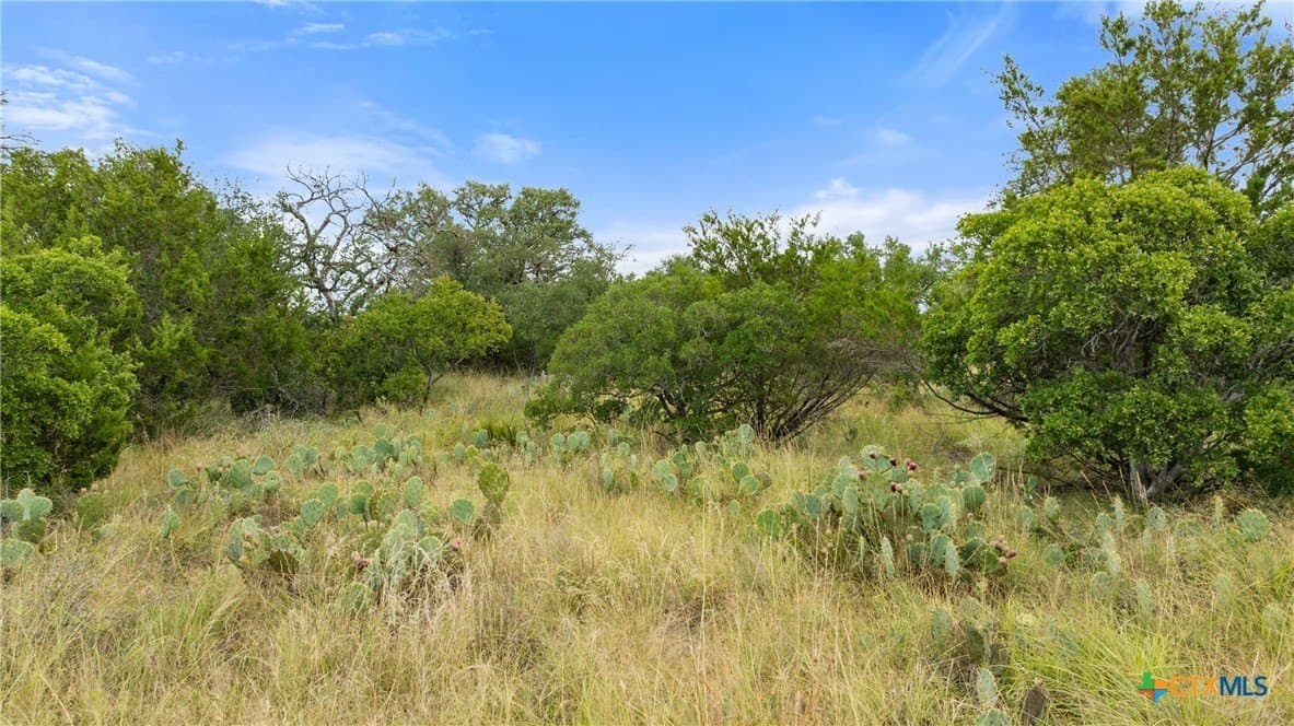 5.01 acres in Blanco County - photo 25
