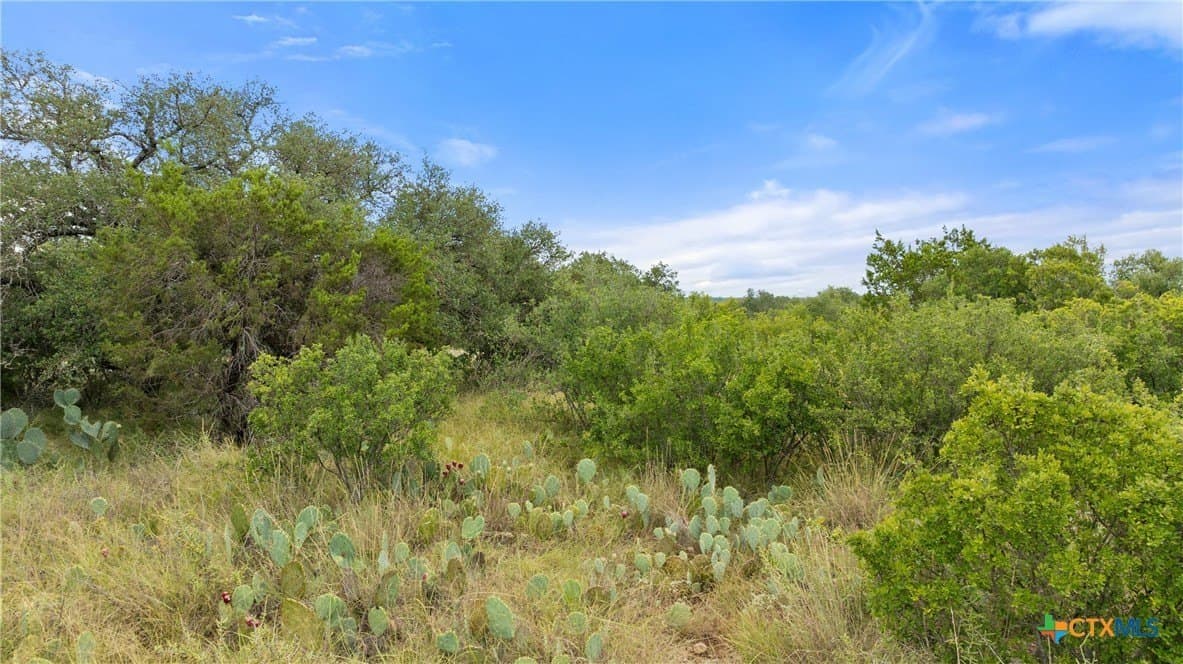 5.01 acres in Blanco County - photo 26