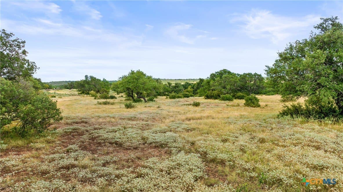 5.01 acres in Blanco County - photo 18