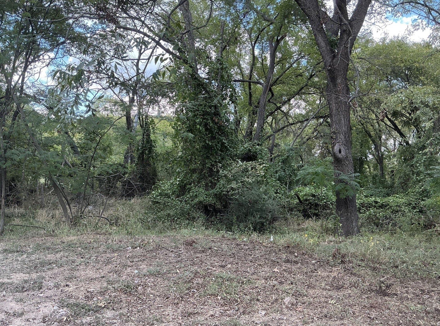 0.18 acres in Parker County gallery image 2