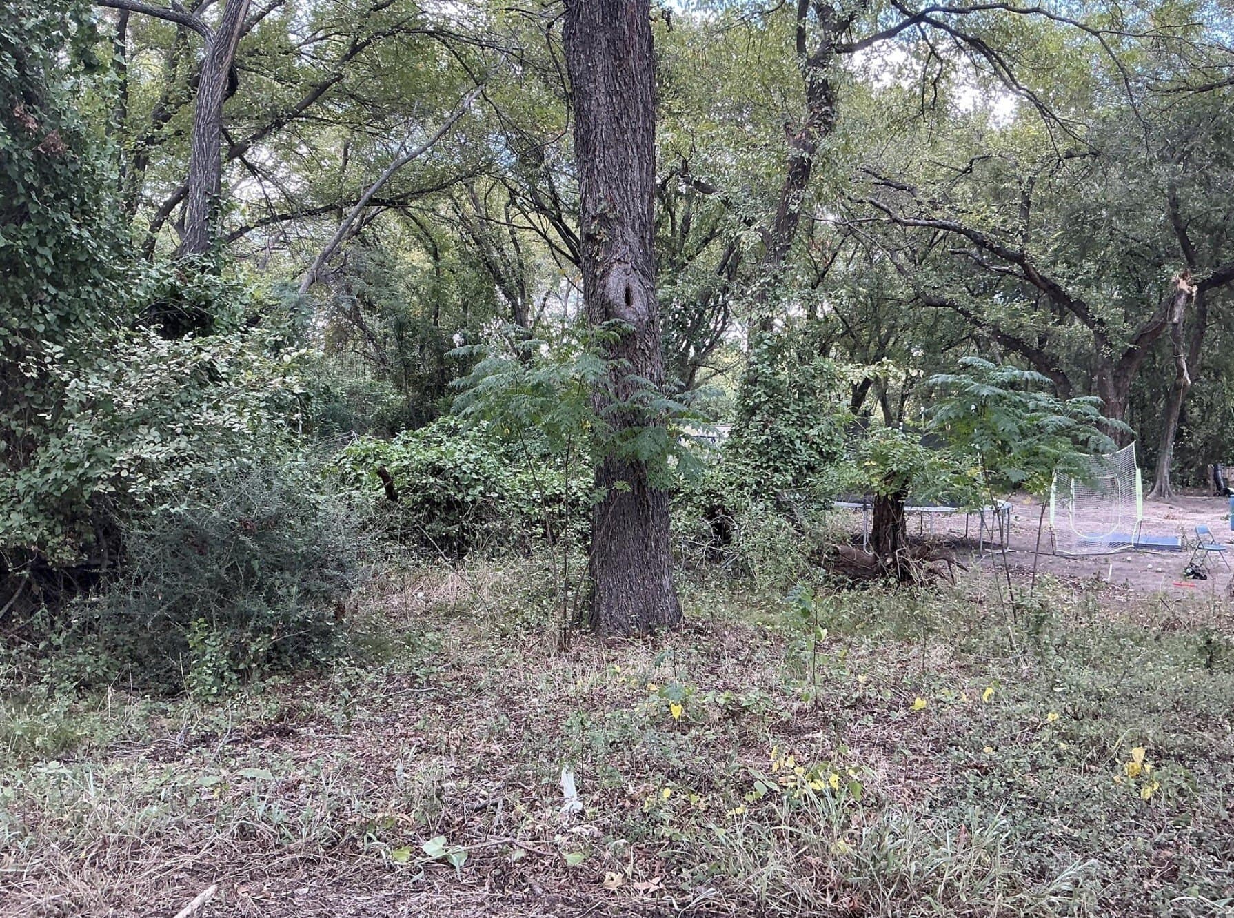 0.18 acres in Parker County gallery image 4
