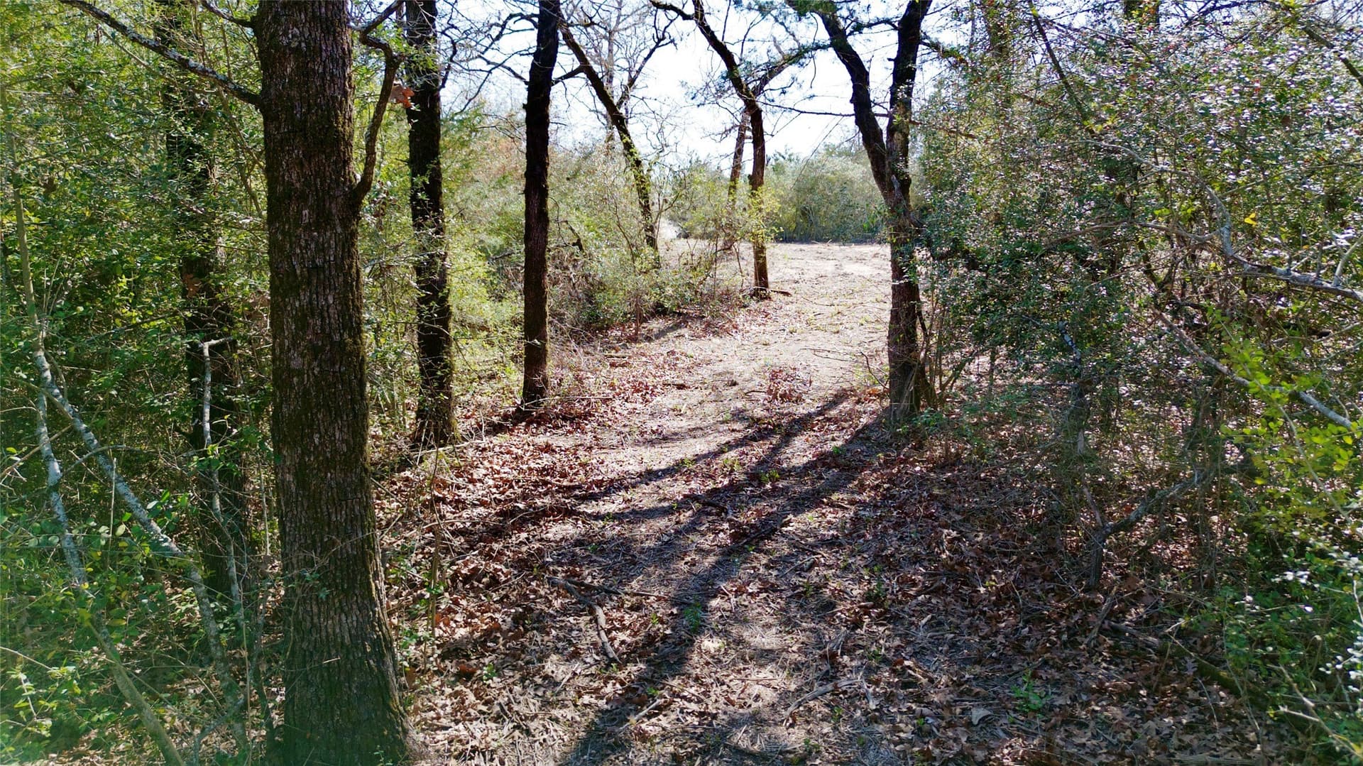 10.01 acres in Falls County - photo 21