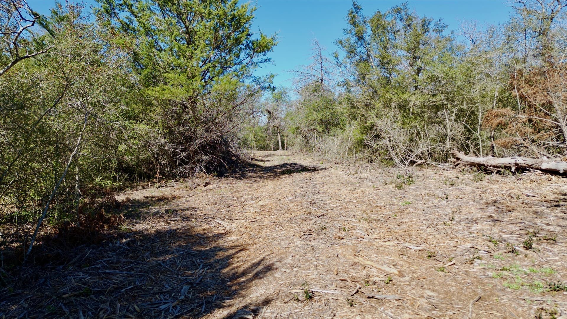 10.01 acres in Falls County - photo 11
