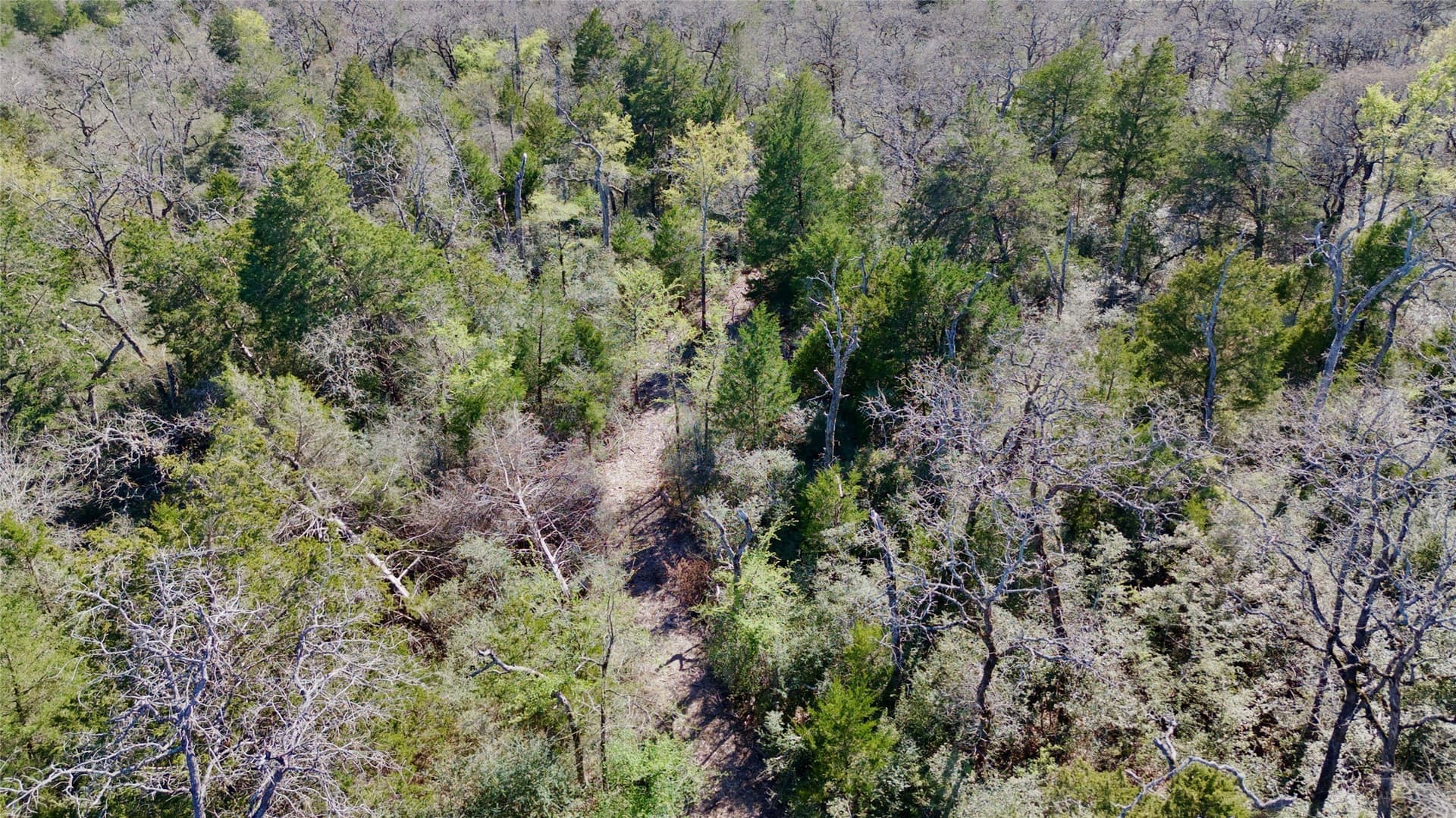 10.01 acres in Falls County - photo 19