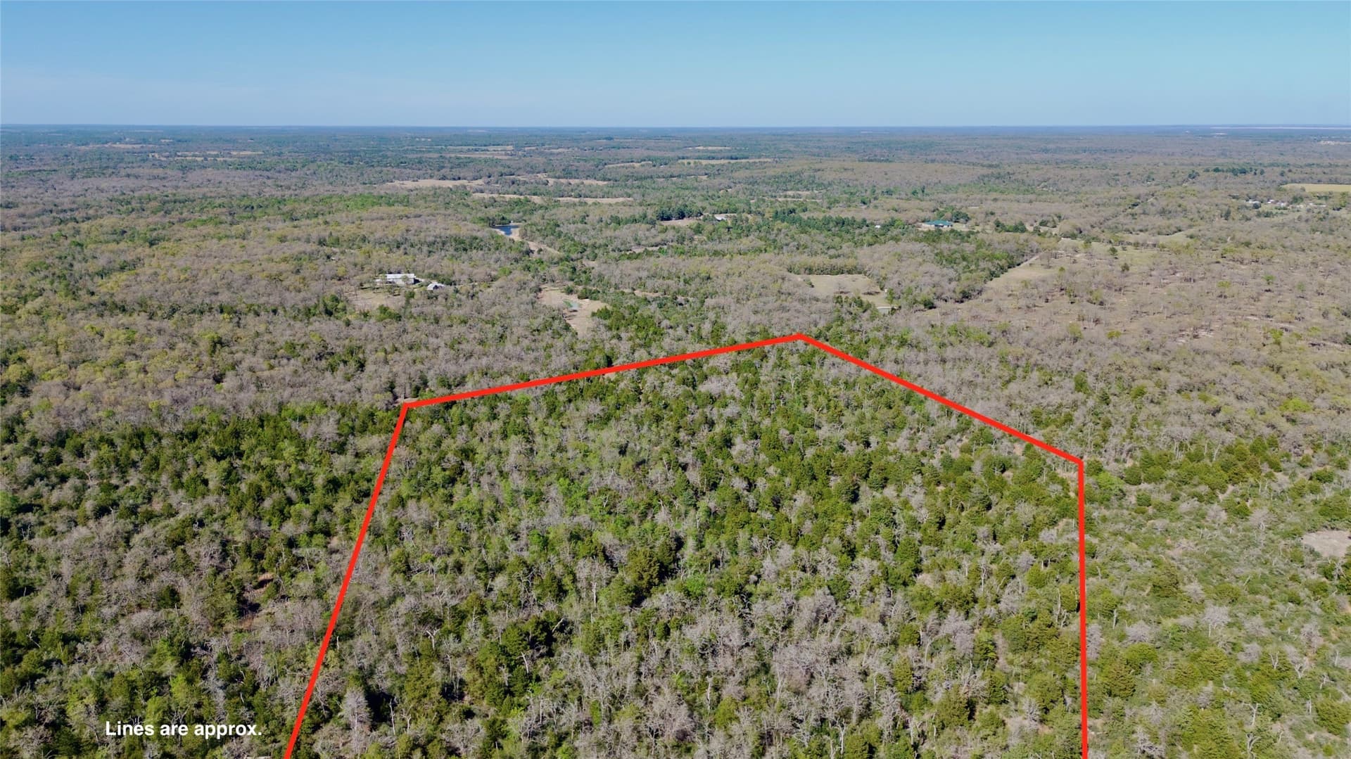 10.01 acres in Falls County - photo 17