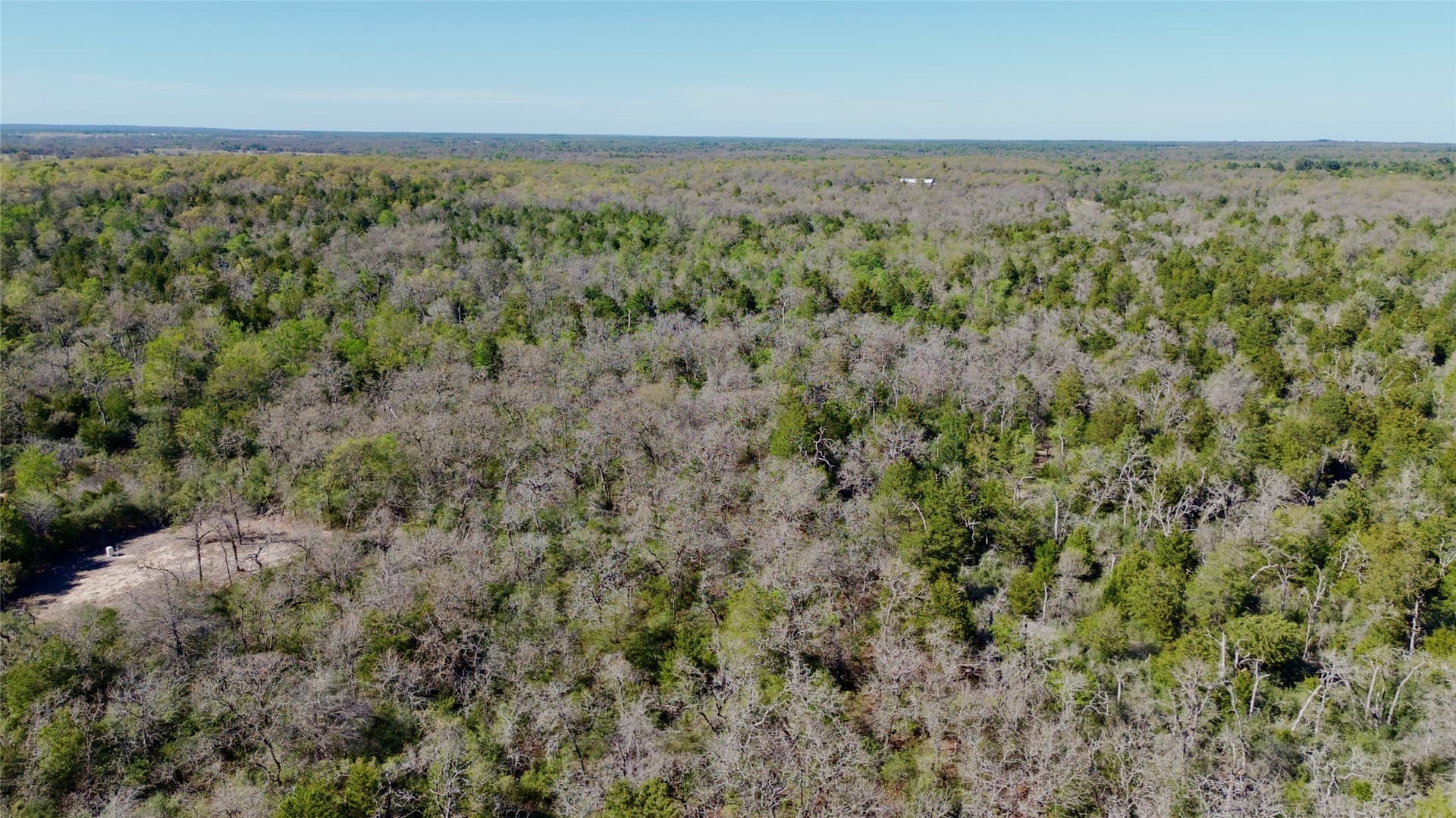 10.01 acres in Falls County - photo 18