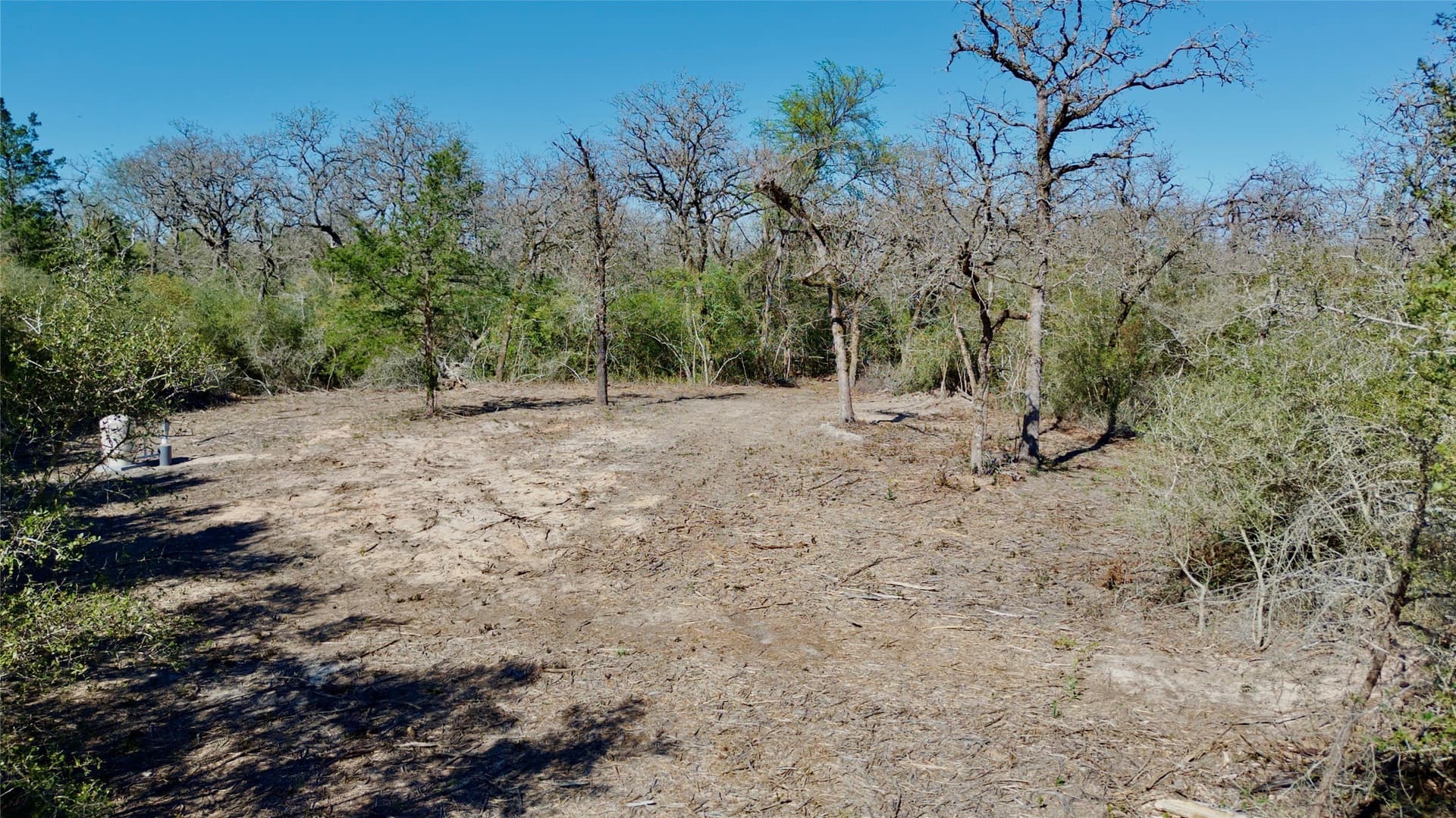 10.01 acres in Falls County - photo 12