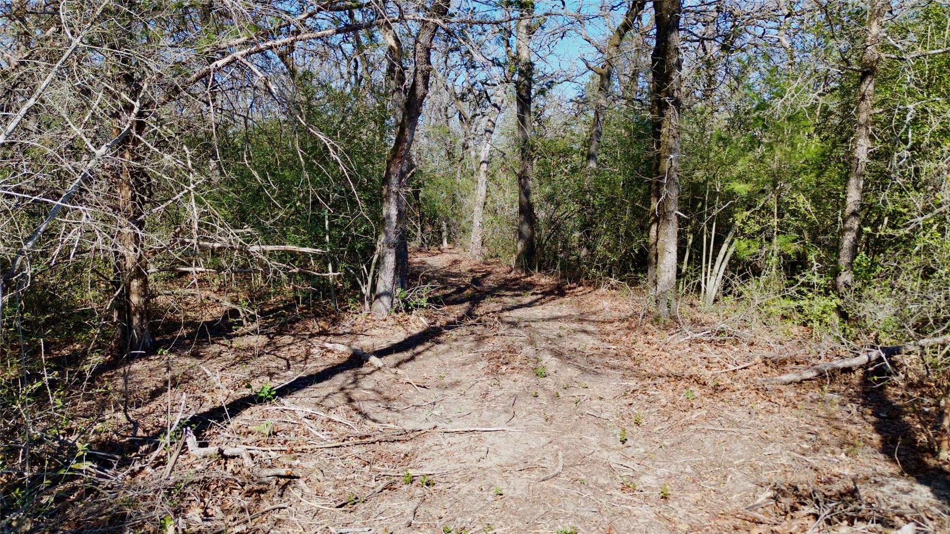 10.01 acres in Falls County - photo 20
