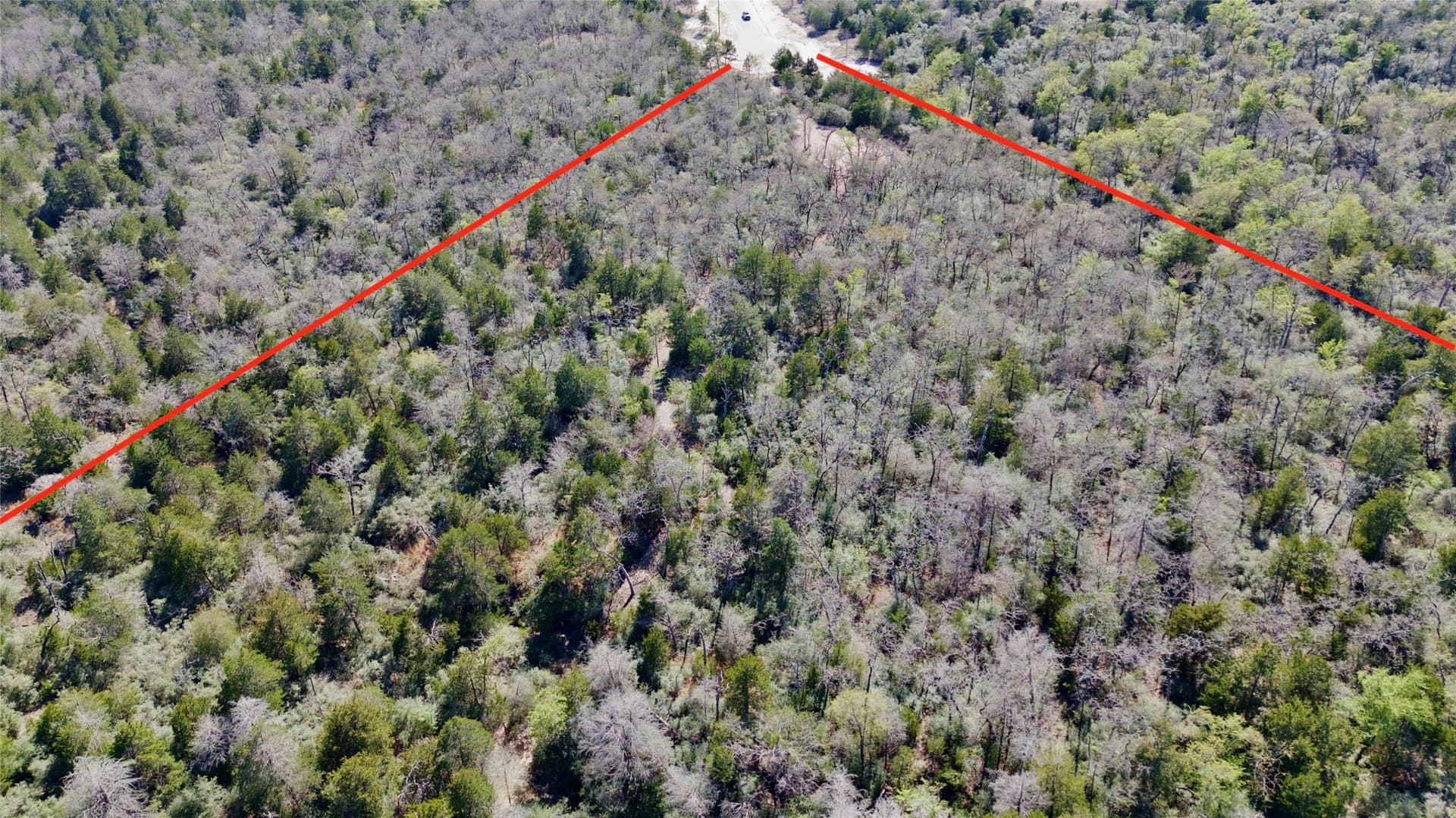10.01 acres in Falls County - photo 6
