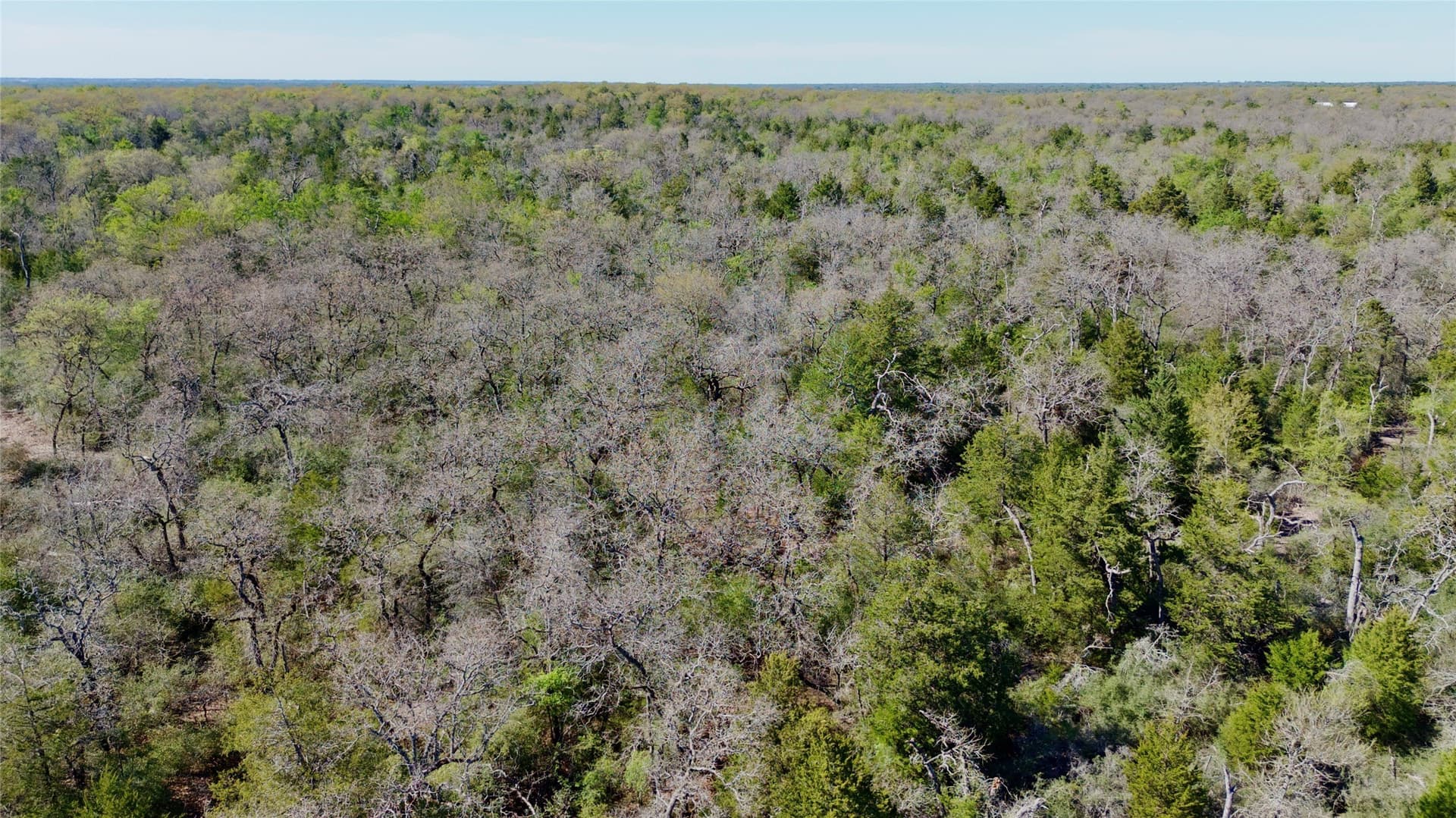 10.01 acres in Falls County - photo 8