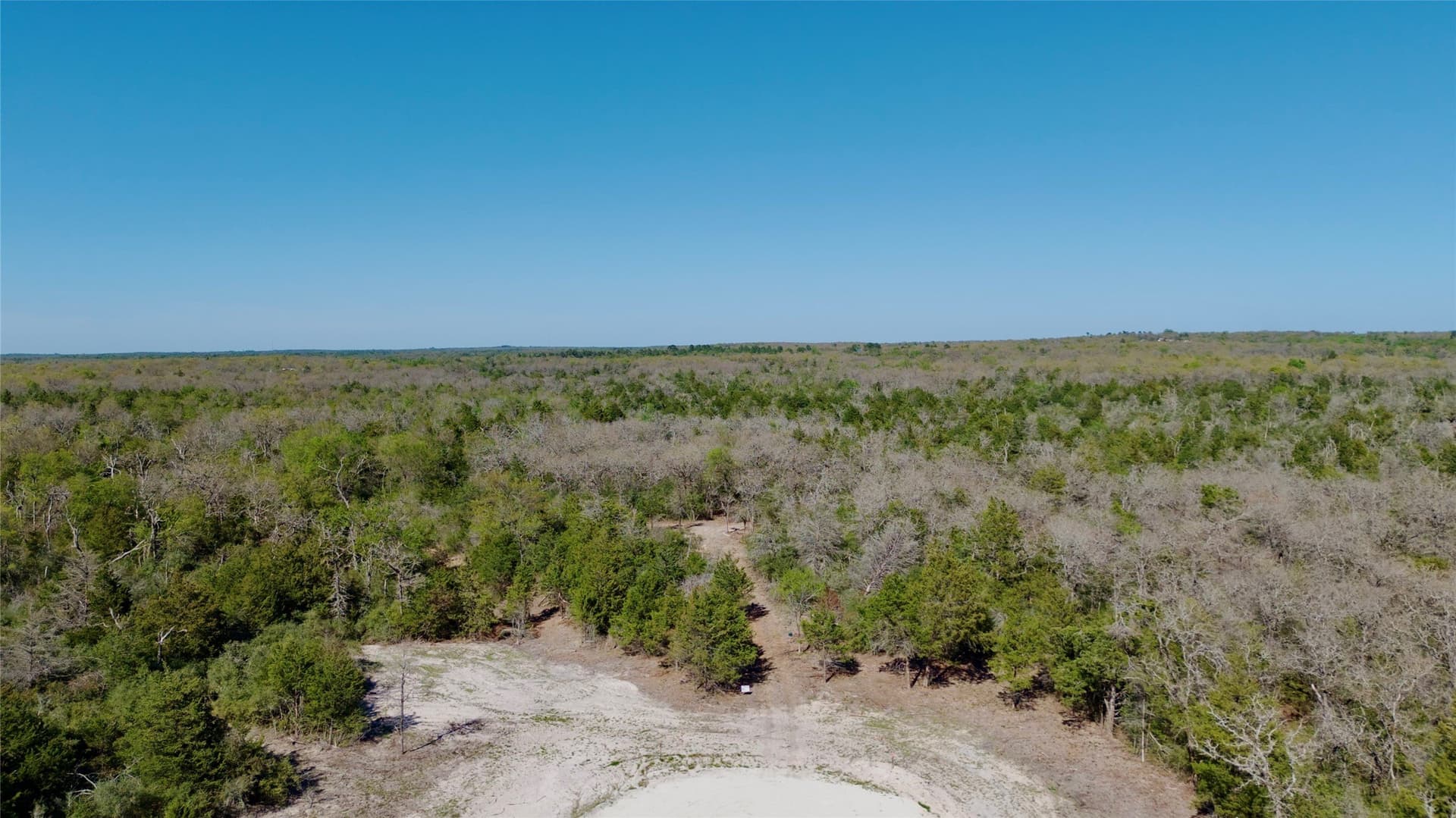 10.01 acres in Falls County gallery image 4