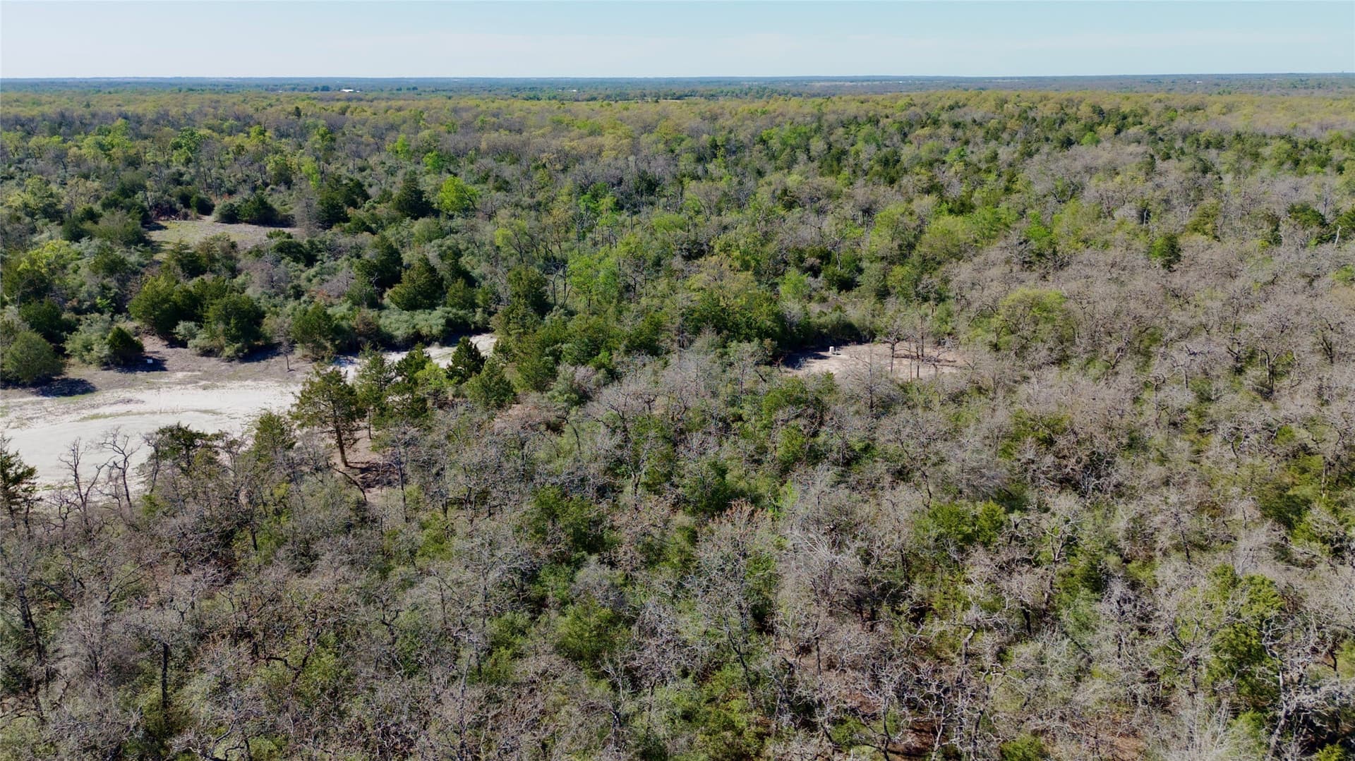 10.01 acres in Falls County - photo 9