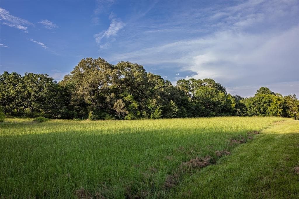 100.5 acres in Smith County gallery image 4