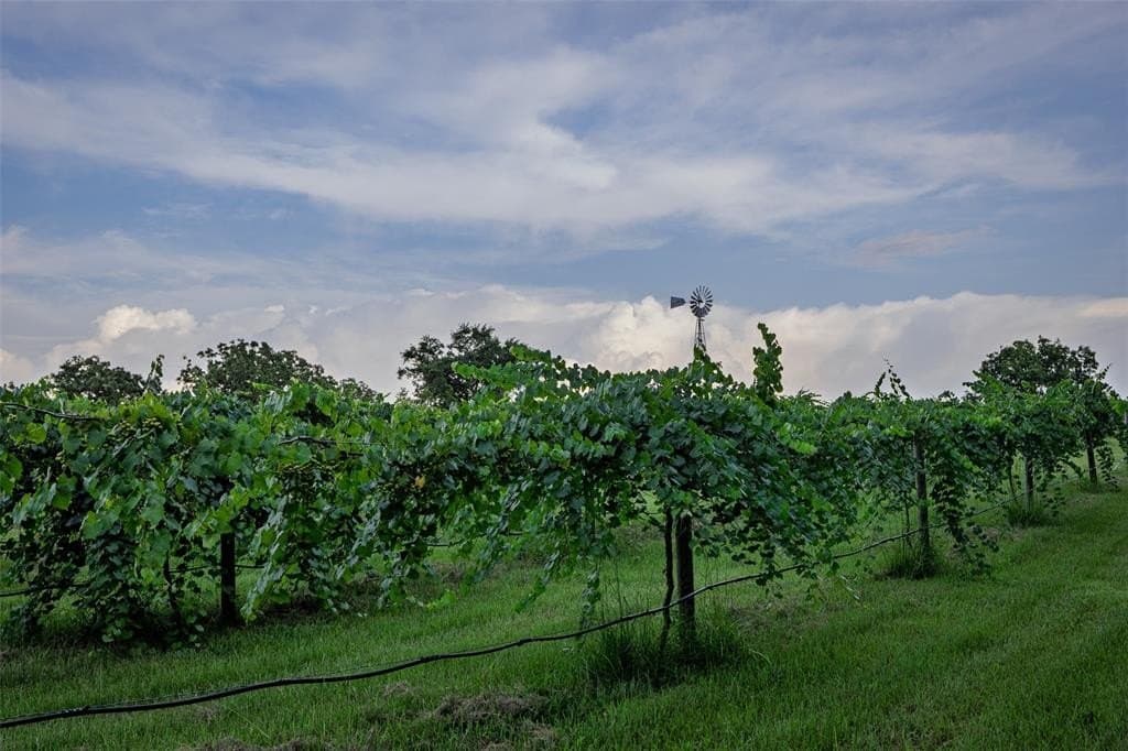 100.5 acres in Smith County gallery image 3