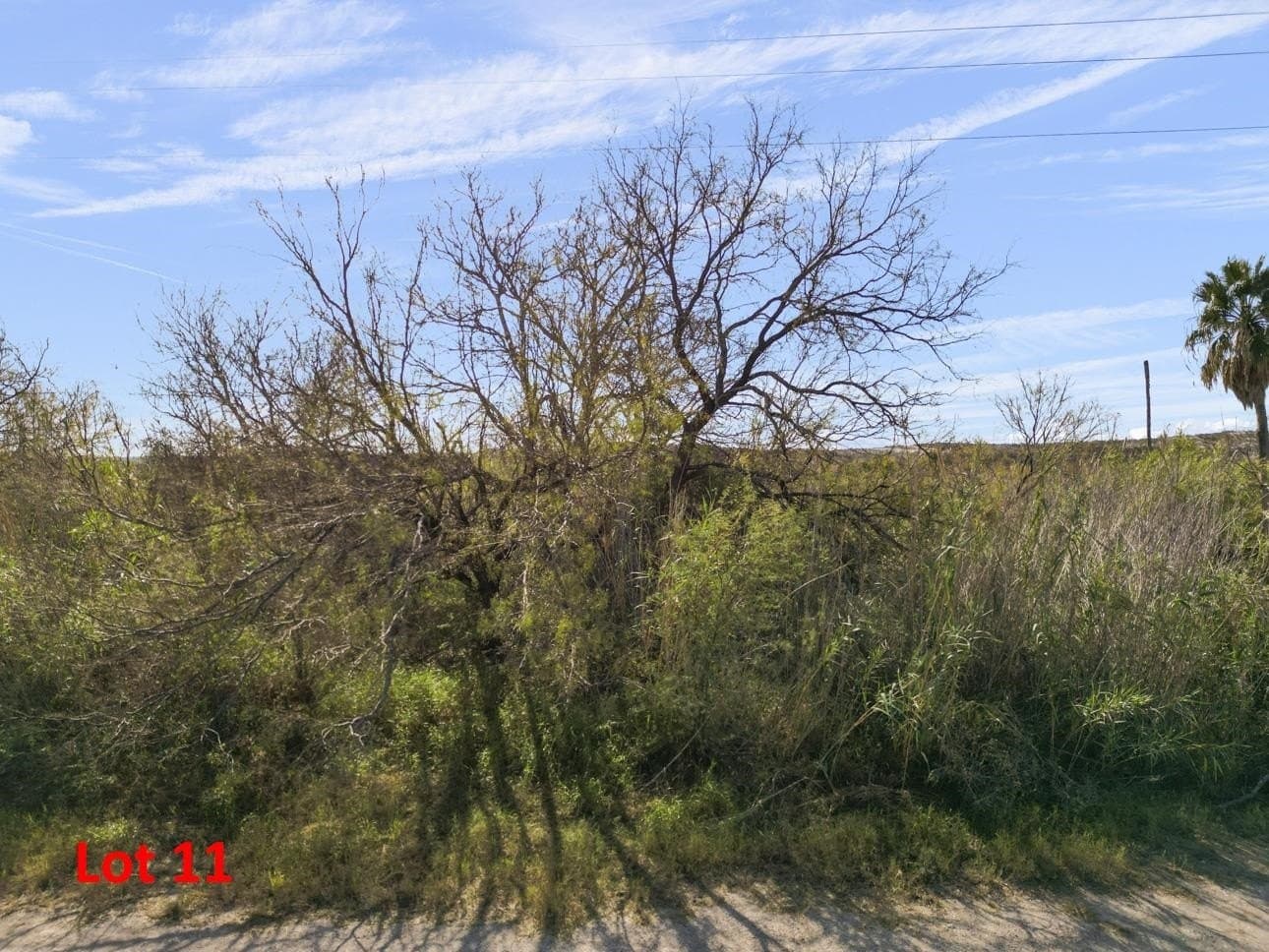0.34 acres in Val Verde County gallery image 4
