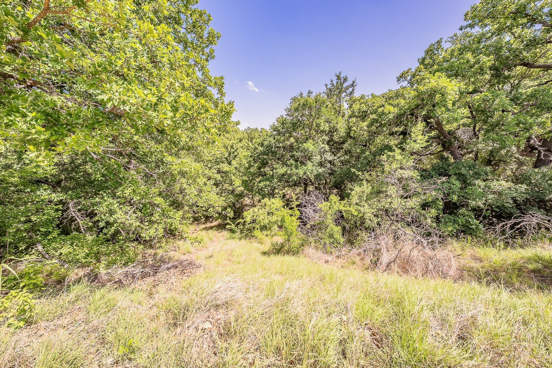 60 acres in Parker County - photo 10