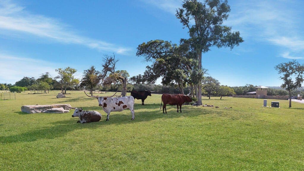 7.48 acres in Gillespie County - photo 8