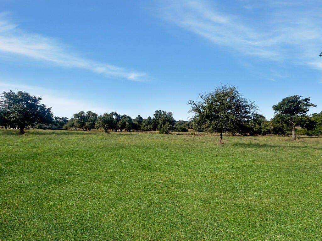 7.48 acres in Gillespie County - photo 9