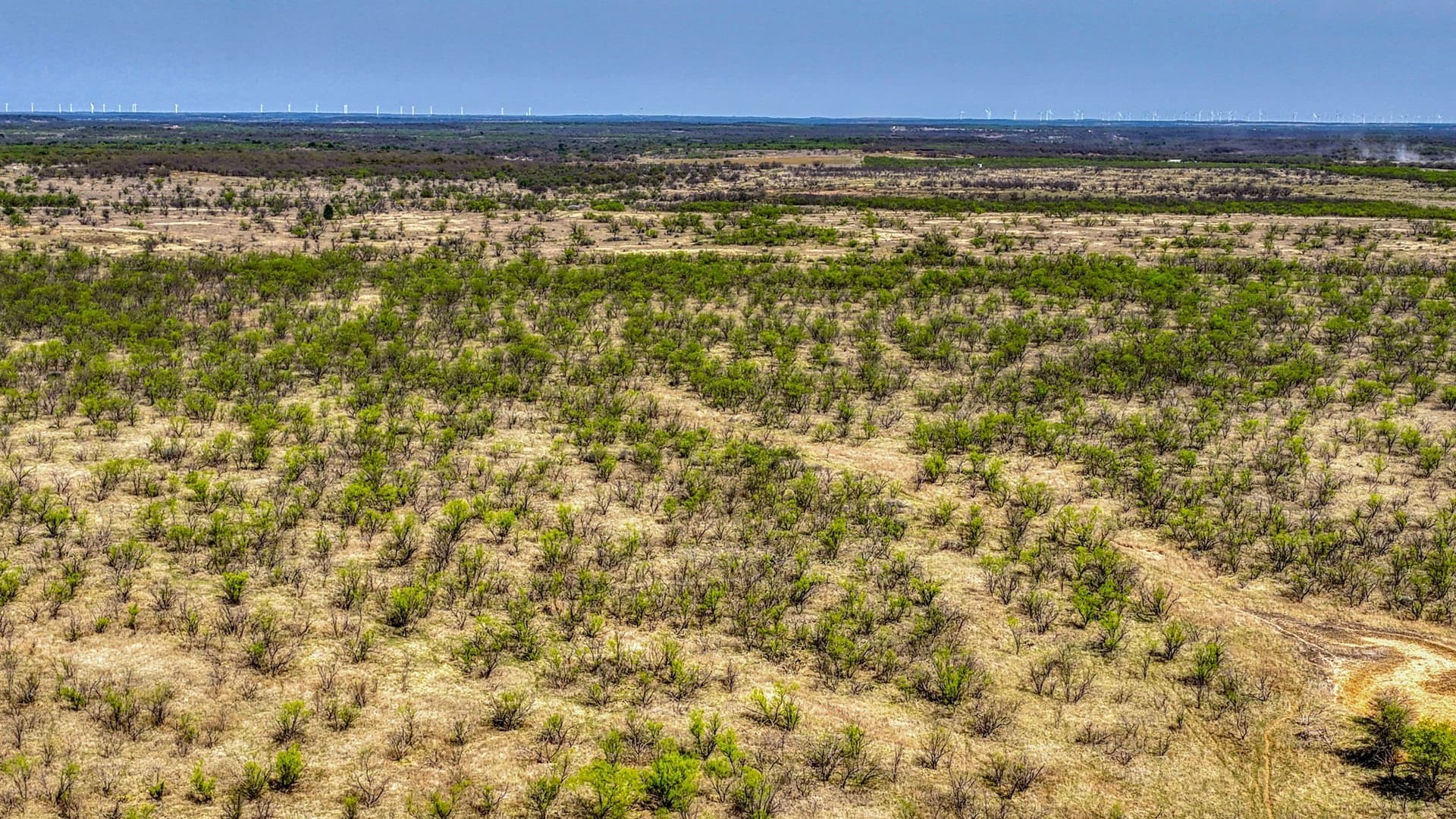 133.25 acres in Jack County - photo 21
