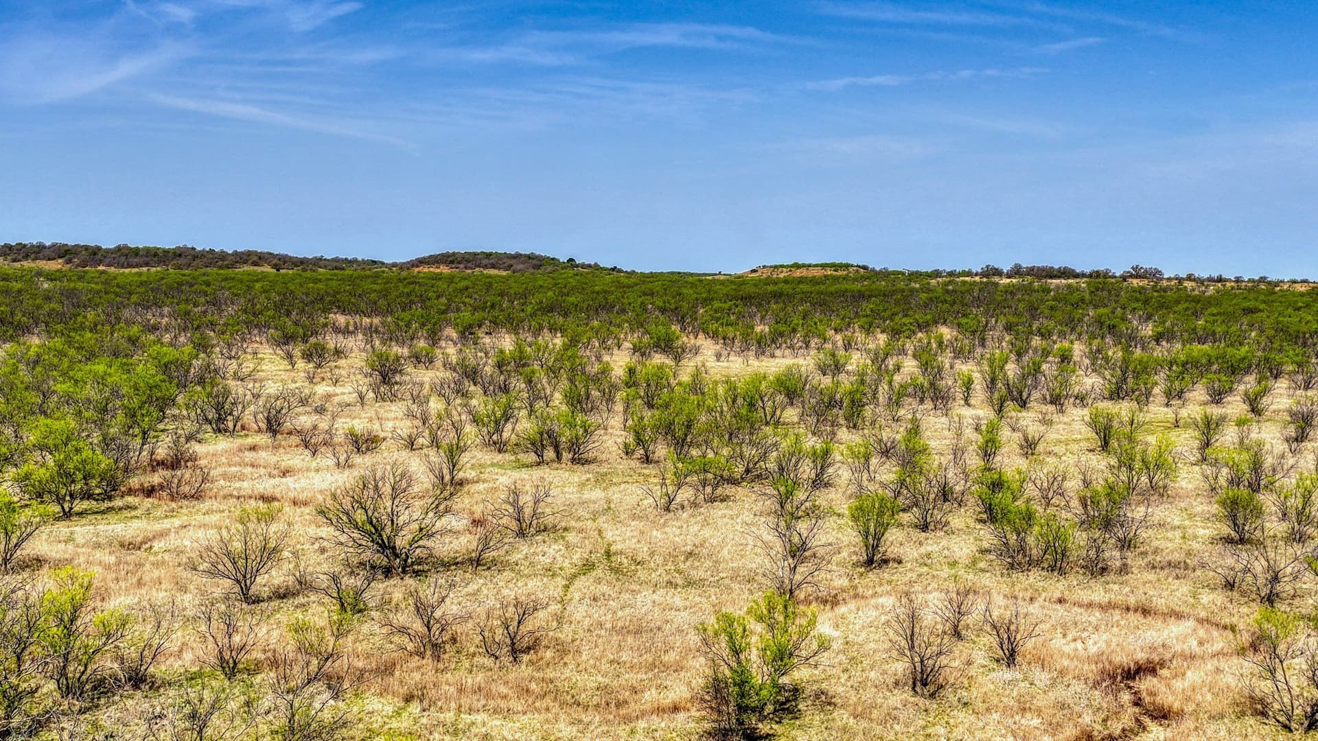133.25 acres in Jack County - photo 23