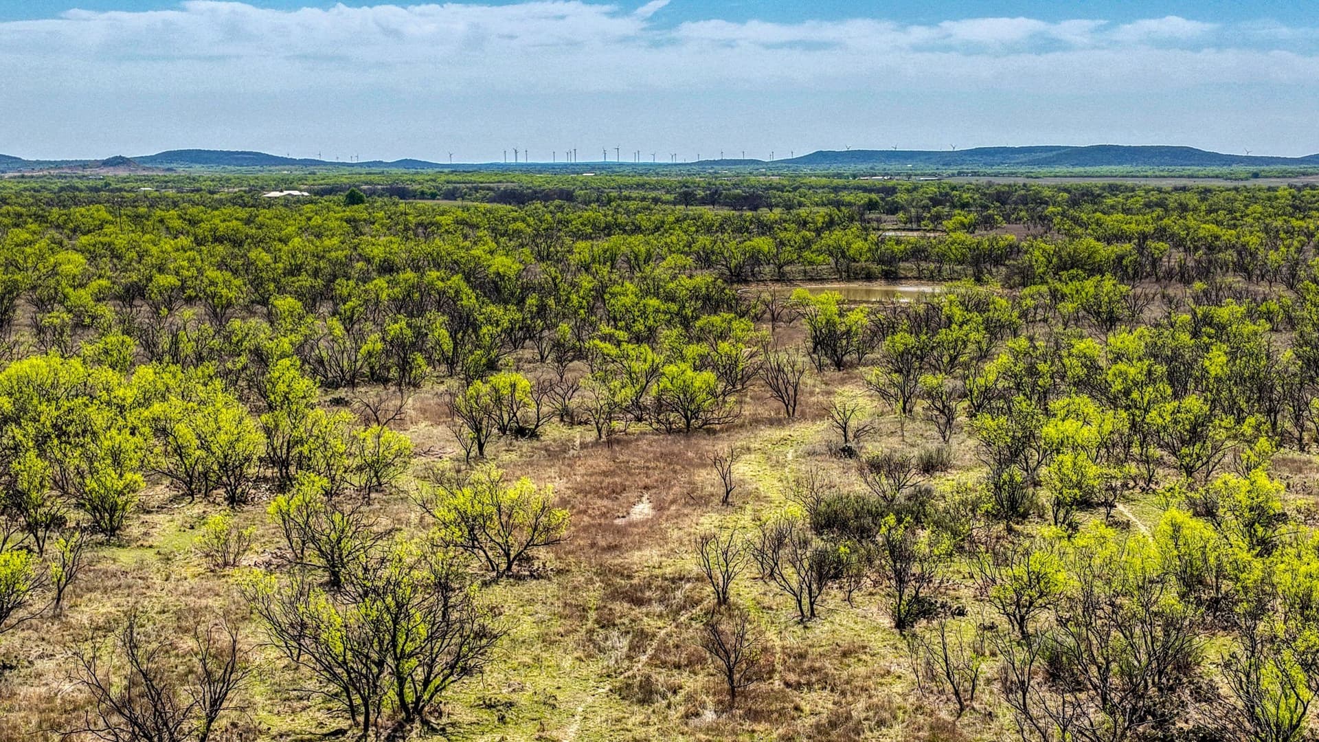 133.25 acres in Jack County - photo 11