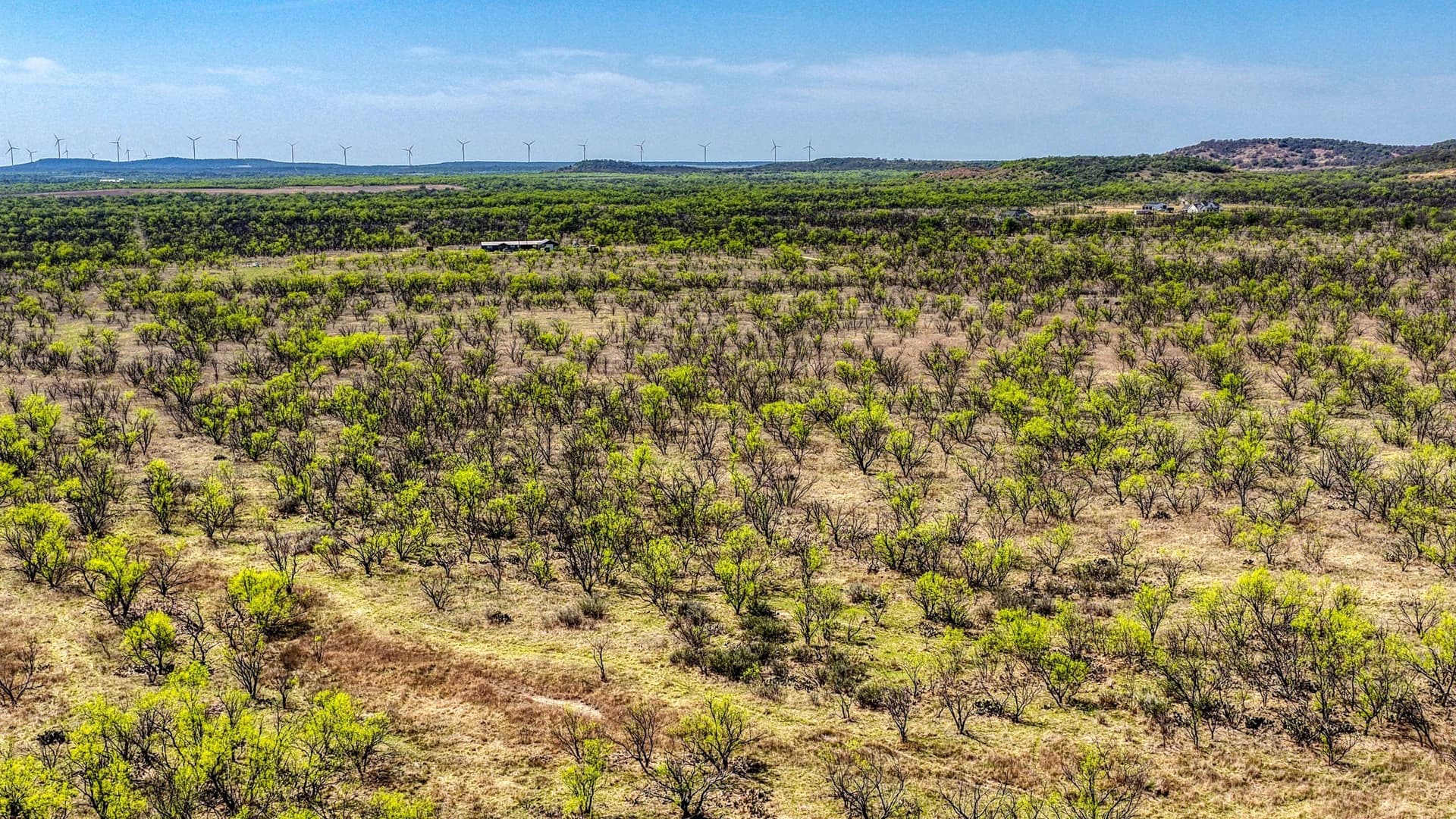133.25 acres in Jack County - photo 18
