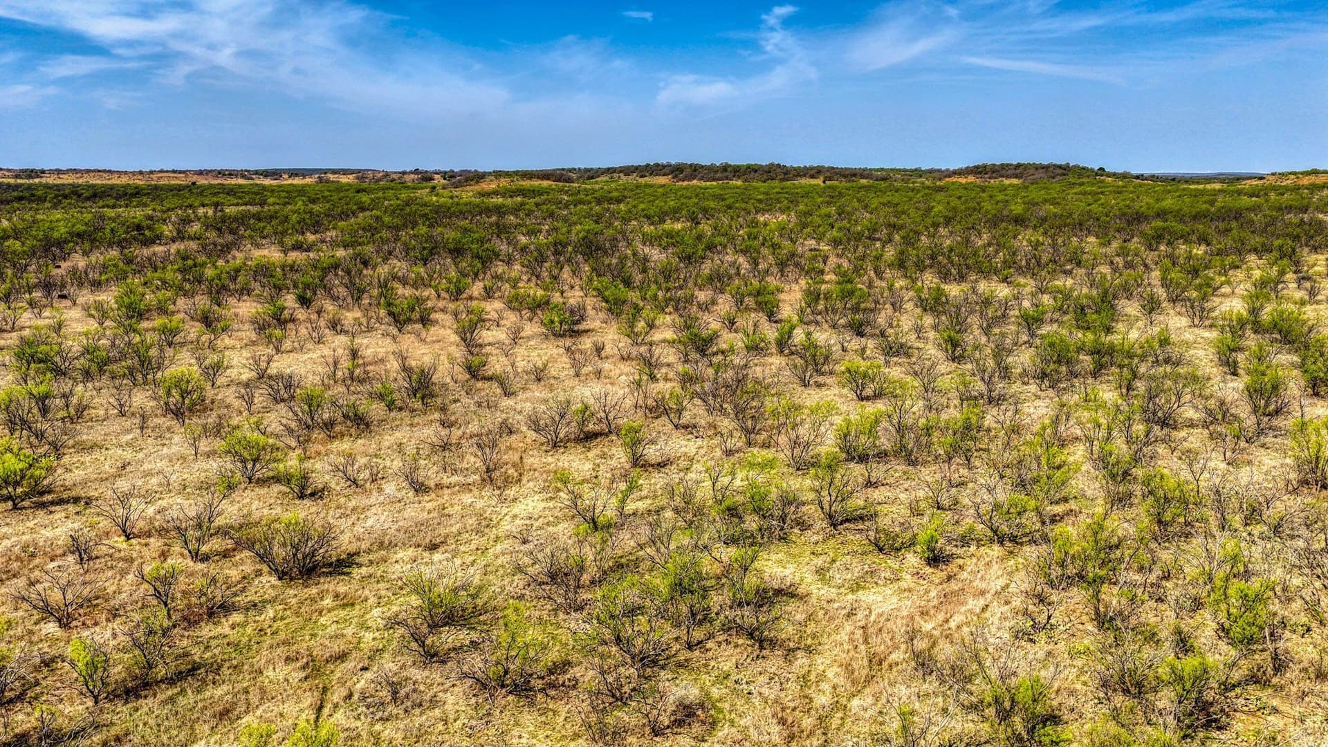133.25 acres in Jack County - photo 6