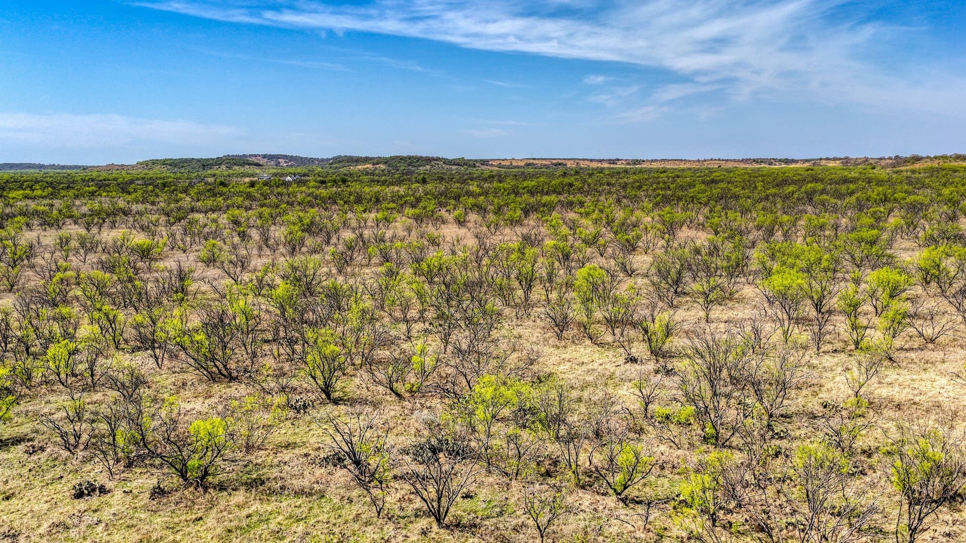 133.25 acres in Jack County - photo 19