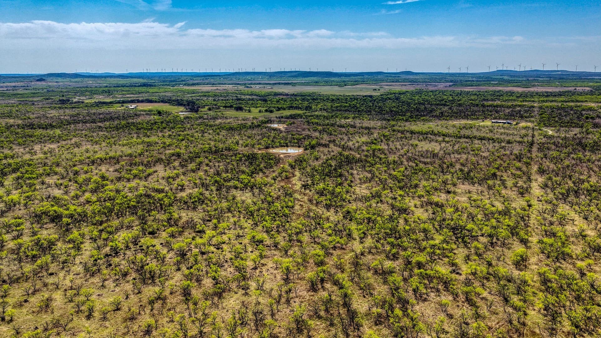 133.25 acres in Jack County - photo 14