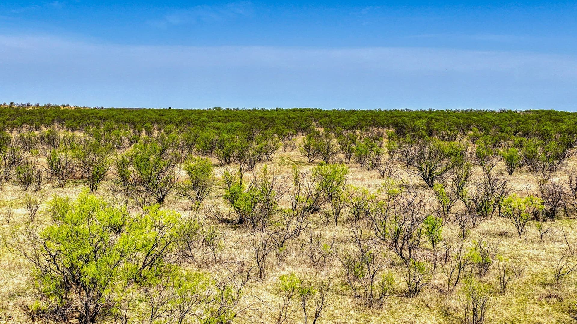 133.25 acres in Jack County - photo 26