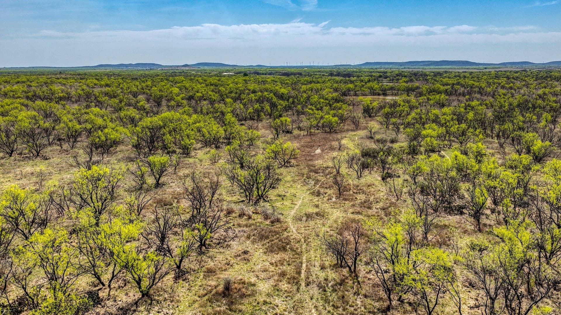133.25 acres in Jack County - photo 10